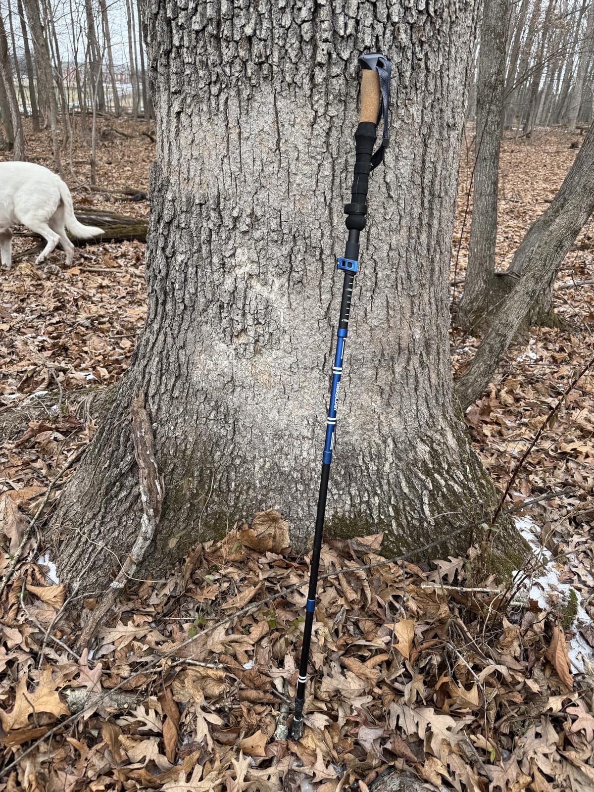 Trekology Trek-Z Cork Grip Collapsible Lightweight Hiking Trekking Poles customer photo 1