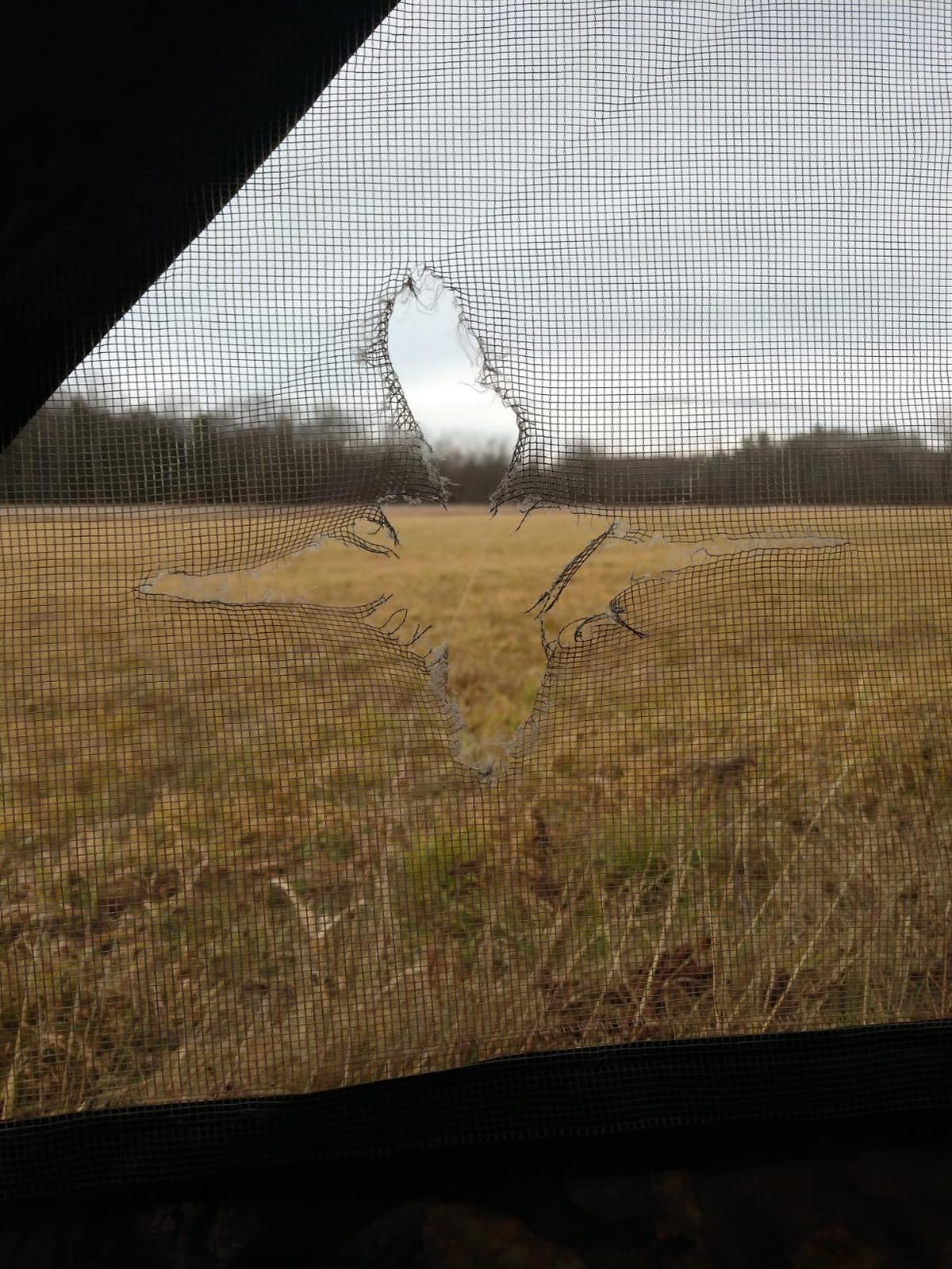 Ameristep Care Taker Ground Blind, Mossy Oak Break Up Country customer photo 2