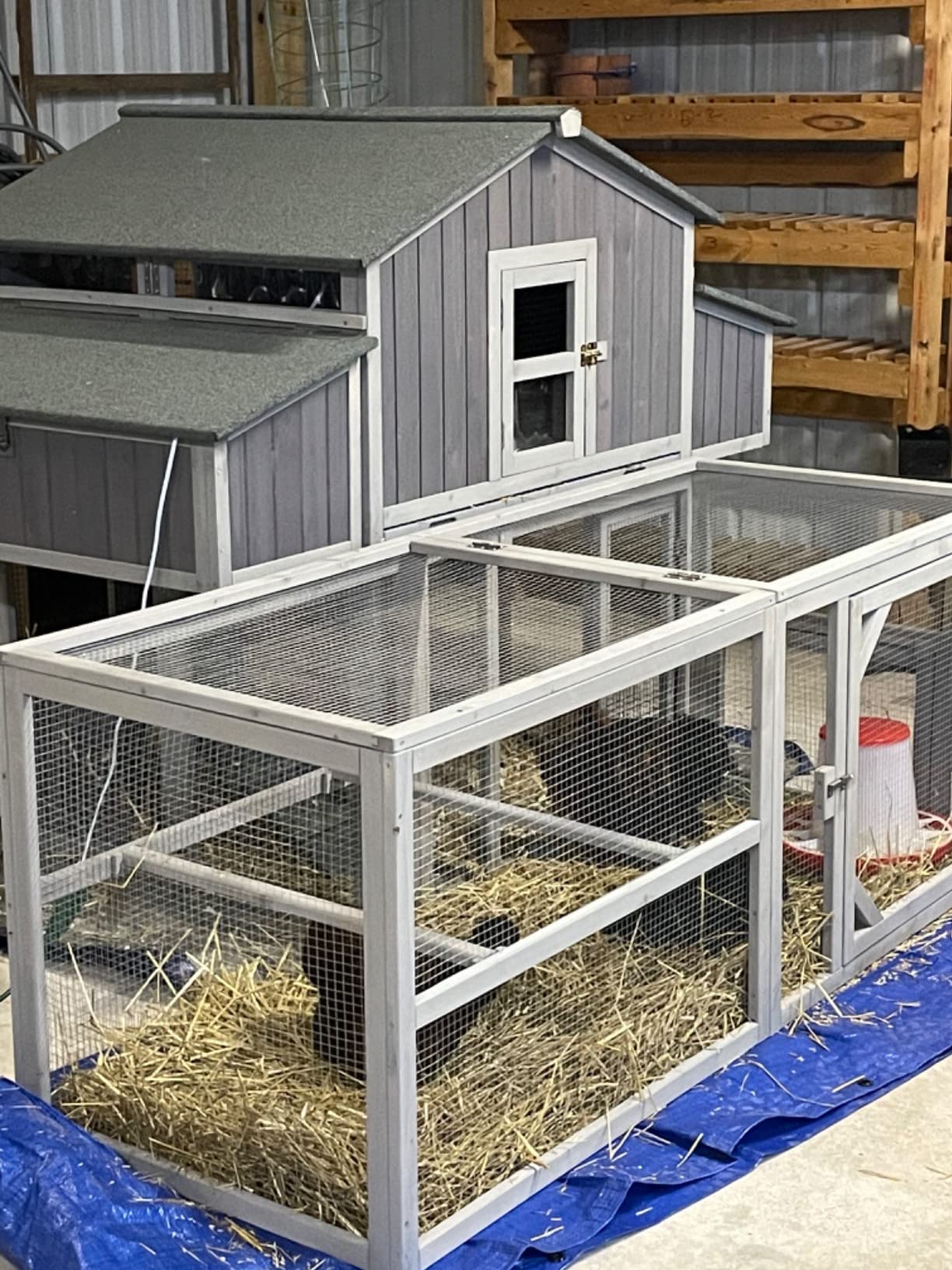 Walk in Chicken Coop, Chicken House Coop, Chicken Coop for 8 Chickens, Outdoor Poultry Duck Enclosure Small Animal Playpen - Easy Clean PVC Layer Included customer photo 2