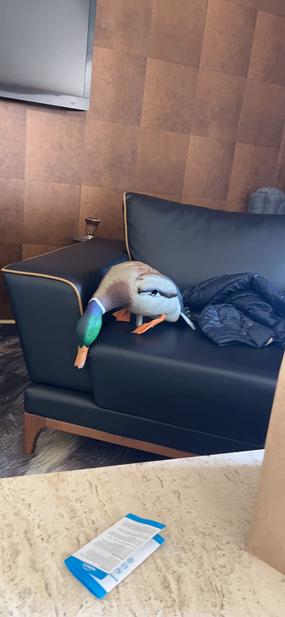 Avian X Powerflight Smart Motion Mallard Spinning Wing Duck Decoy customer photo 2