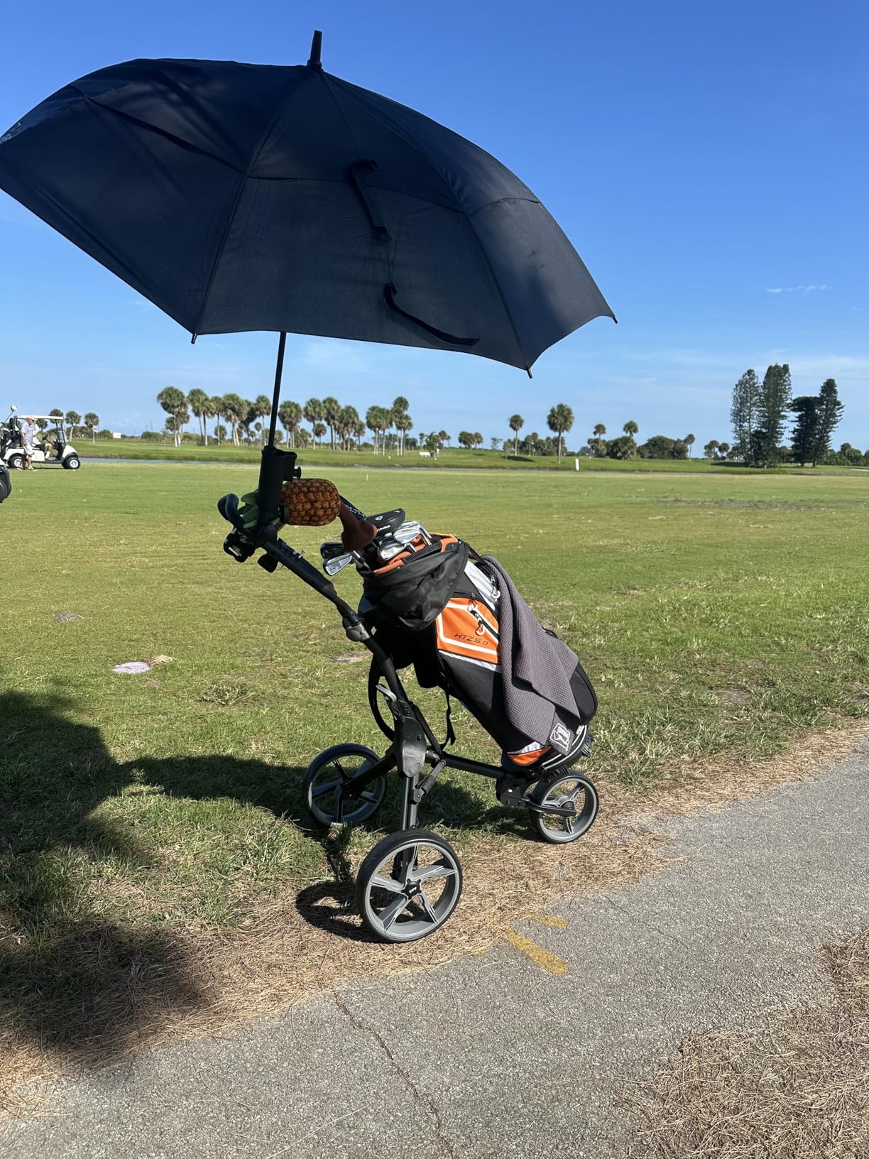 KVV 3 Wheel Foldable/Collapsible Golf Push Cart Ultra Lightweight Smallest Folding Size, New-Version Scorecard Holder Umbrella Holder Included customer photo 2