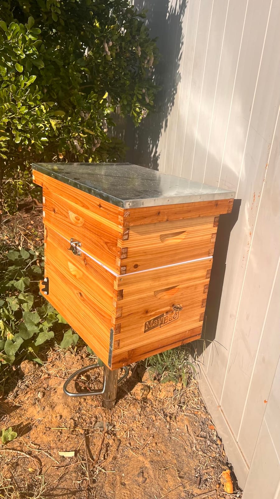 Beehive 8 Frame Bee Hives and Supplies Starter Kit, Bee Hive for Beginner, Honey Bee Hives Includes 1 Deep Bee Boxes, 1 Bee Hive Super with Beehive Frames and Foundation customer photo 1