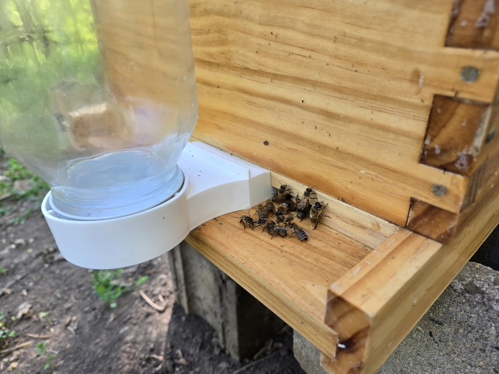 Beehive Starter Kit 8-Frame Bee Boxes and Frames Beehive Kit Wax Coated Bee Hives and Supplies Starter Kit Including Beekeeping Tools Kit with Beekeeping Veil customer photo 2