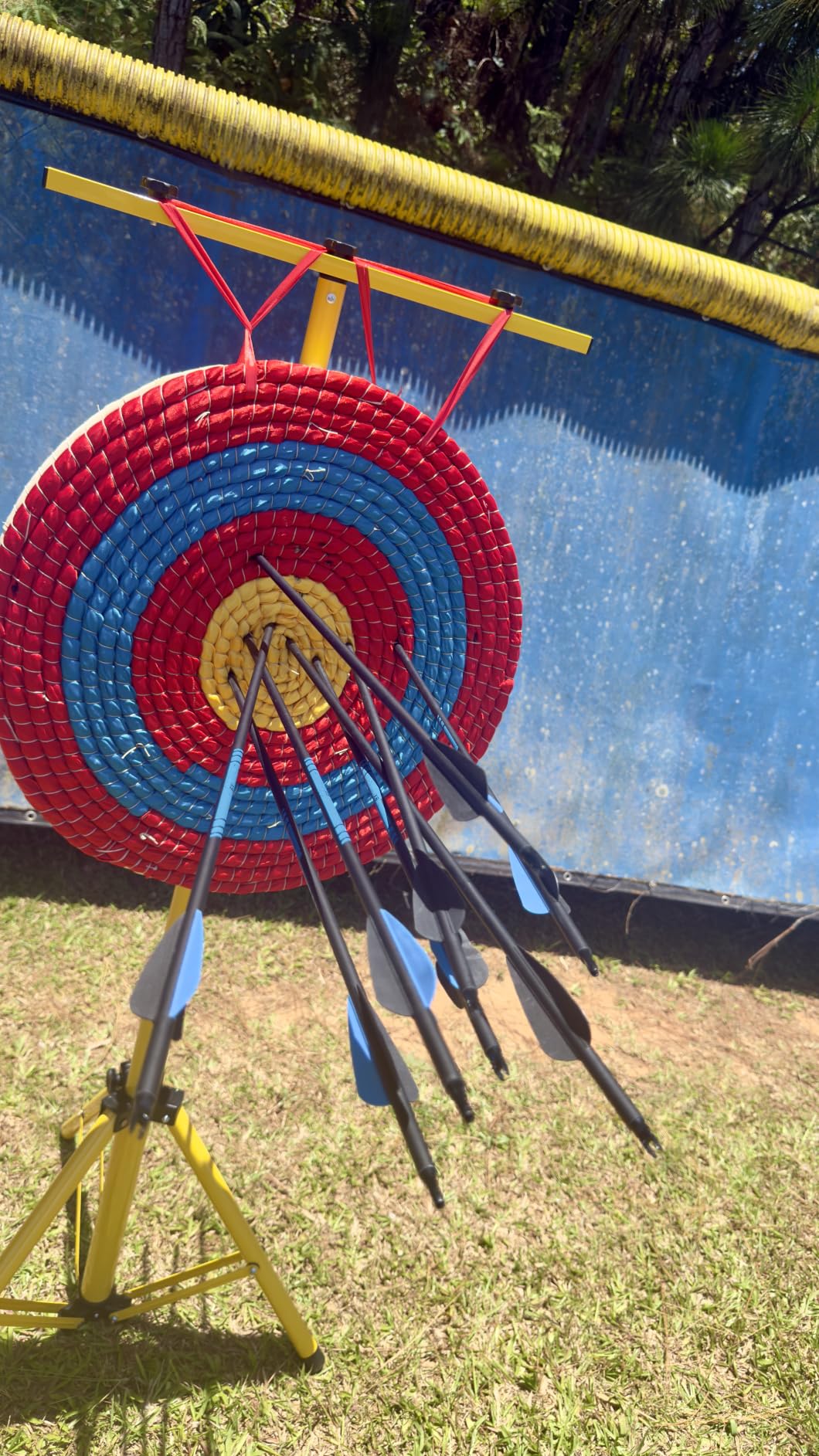 Sanlida Archery Dragon X8 RTH Compound Bow Package for Adults and Teens, 18-31 Draw Length, 0-70 Lbs Draw Weight, up to IBO 310 fps, No Bow Press Needed, Limited Life-time Warranty, RH Only customer photo 2