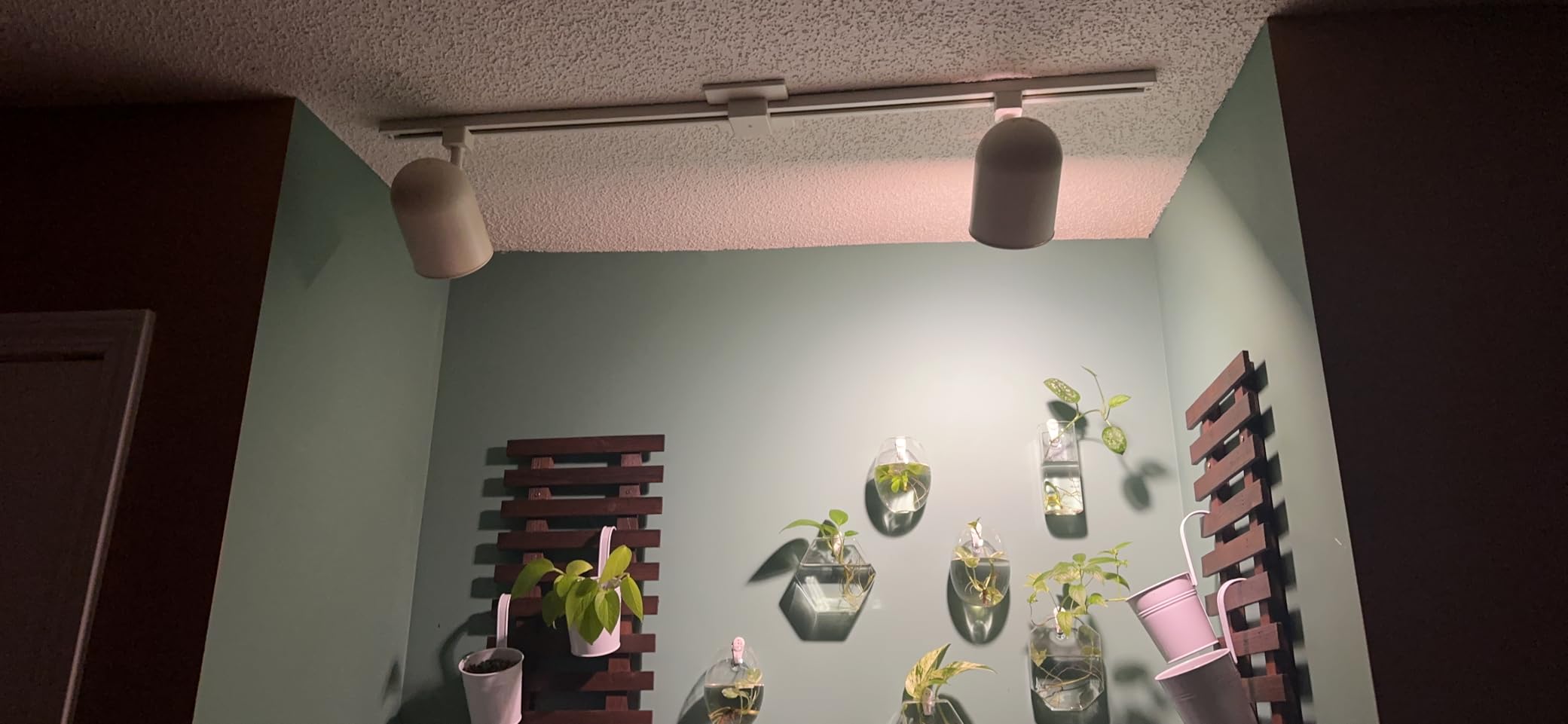 Briignite Grow Light Bulbs, LED Grow Light Bulb A19 Bulb, Full Spectrum | Grow Light Bulb, Plant Light Bulbs E26 Base, 11W Grow Bulb 100W Equivalent, Grow Light for Indoor Plants, Seed Starting, 2 Pack customer photo 2