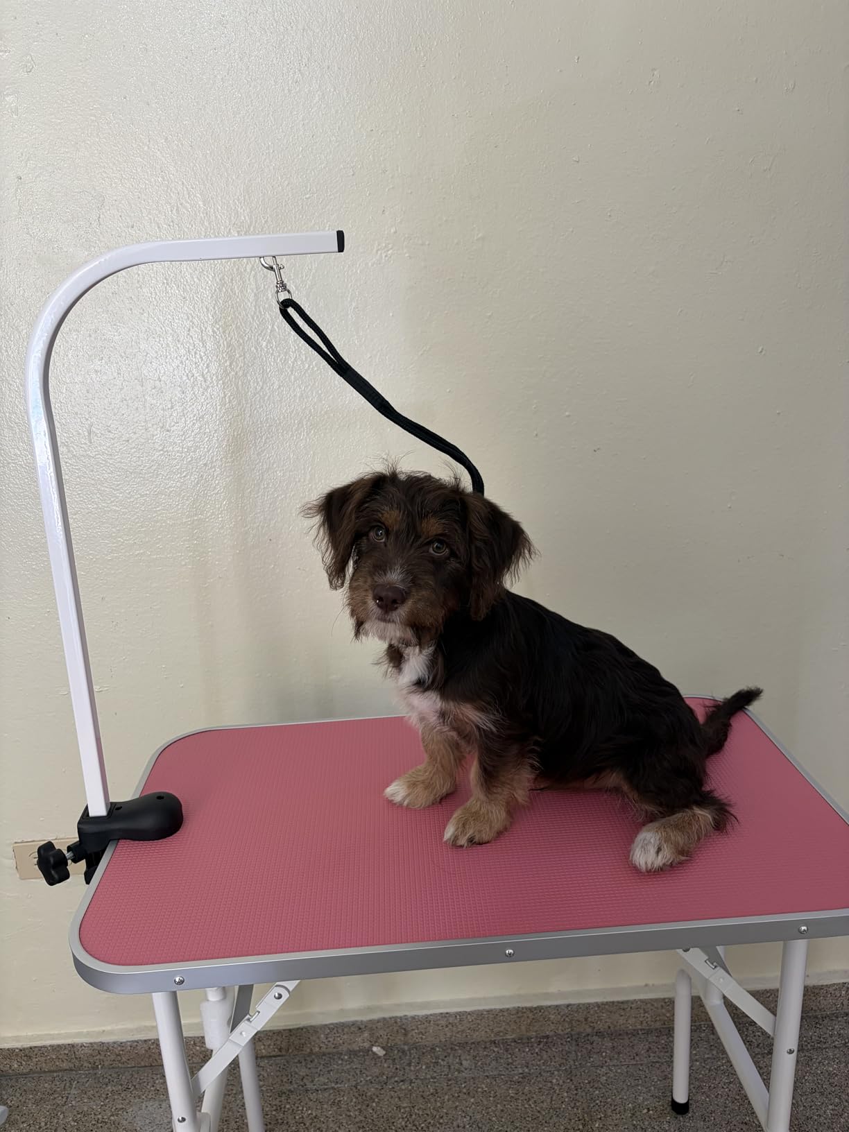 LEIBOU Pet Dog Grooming Table Foldable Grooming Table Heavy Duty Iron Frame with Arm & Noose for Dog Cat Pet Grooming (32'', Pink) customer photo 2
