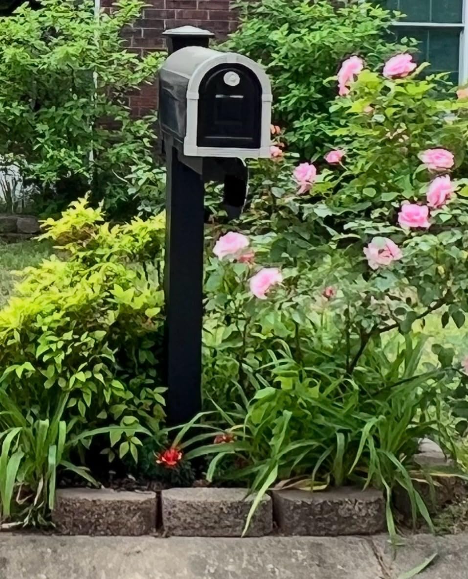Brunswick Large, Steel, Post Mount Mailbox, Black with Brushed Nickel | Galvanized steel build for outside with rust-resistant powder-coat finish and a magnetic door closure. USPS approved. customer photo 1