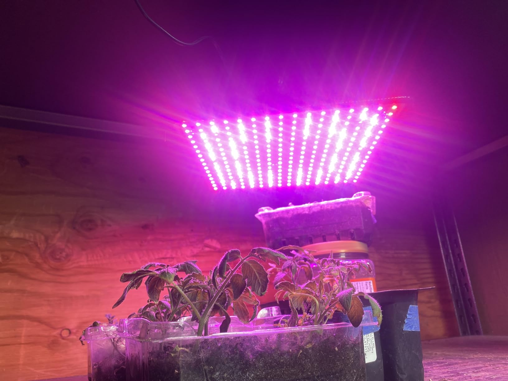 2 Pack LED Grow Light Panel Full Spectrum Lamp for Indoor Plants | with White Blue Red UV IR LEDs for 4x4ft Coverage Grow Tent Greenhouse Veg and Bloom Seedlings Hydroponics customer photo 1
