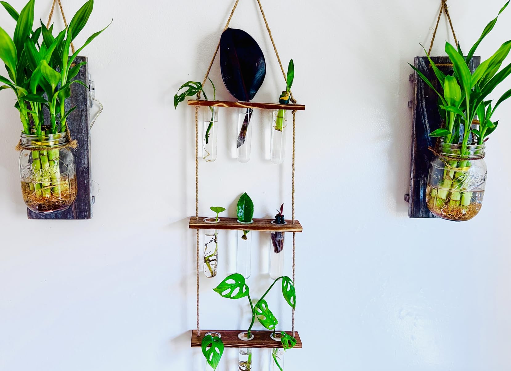 XXXFLOWER Wall Hanging Propagation Station with Wooden Stand Glass Test Tubes Tiered Planters Wall Terrarium for Home Office Plant Hanger Flower Vases Wall Decor Hydroponic Cuttings (9 Tube Vases) customer photo 1