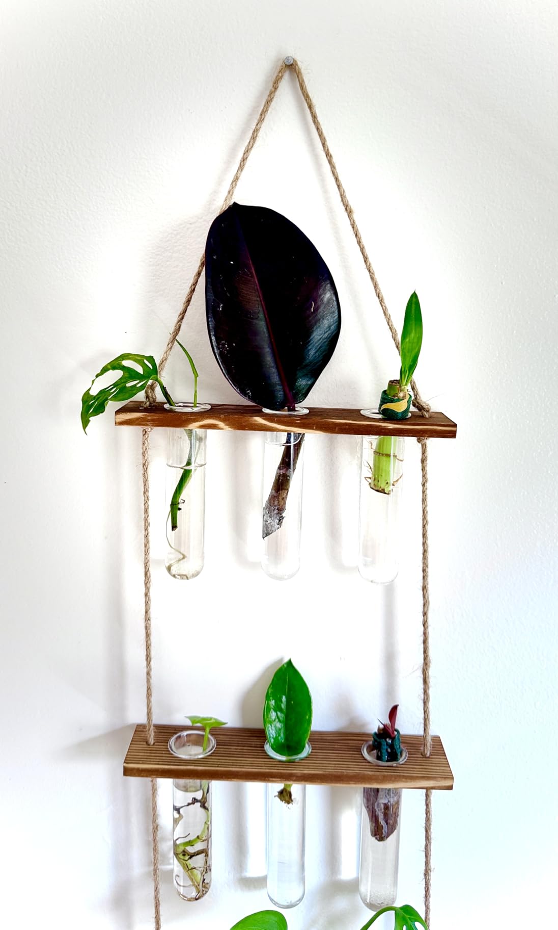 XXXFLOWER Wall Hanging Propagation Station with Wooden Stand 5 Glass Test Tubes 3 Tiered Planters Wall Terrarium for Home Office Plant Hanger Flower Vases Wall Decor Hydroponic Cuttings customer photo 1
