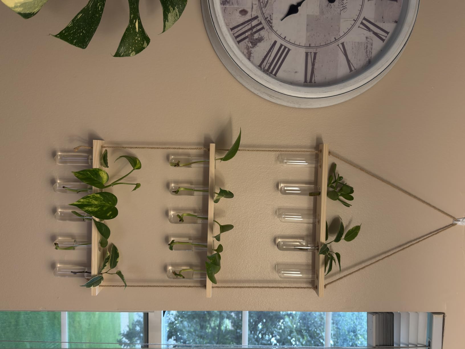 XXXFLOWER Wall Hanging Propagation Station with Wooden Stand 5 Glass Test Tubes 3 Tiered Planters Wall Terrarium for Home Office Plant Hanger Flower Vases Wall Decor Hydroponic Cuttings customer photo 2