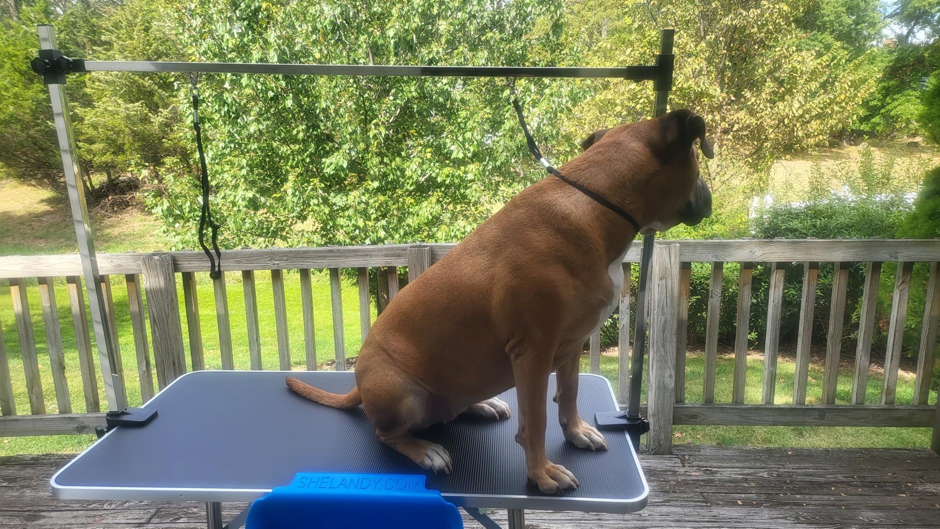 Lyromix 46'' Large Dog Grooming Table, Adjustable Cat Drying Desktop with Arms, Nooses, Mesh Tray, Foldable Pet Station at Home, Maximum Capacity Up to 330Lb customer photo 2