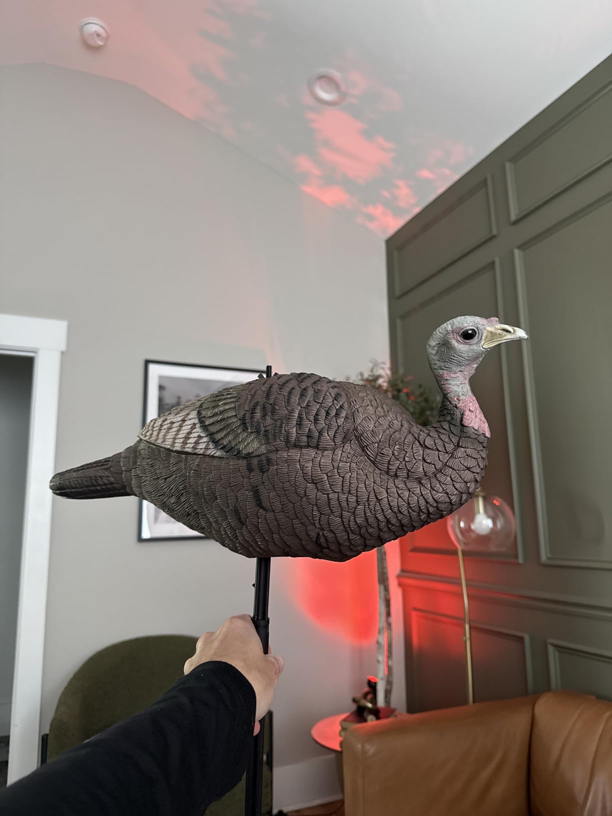Primos Hunting Lil Gobstopper Hen Decoy customer photo 1