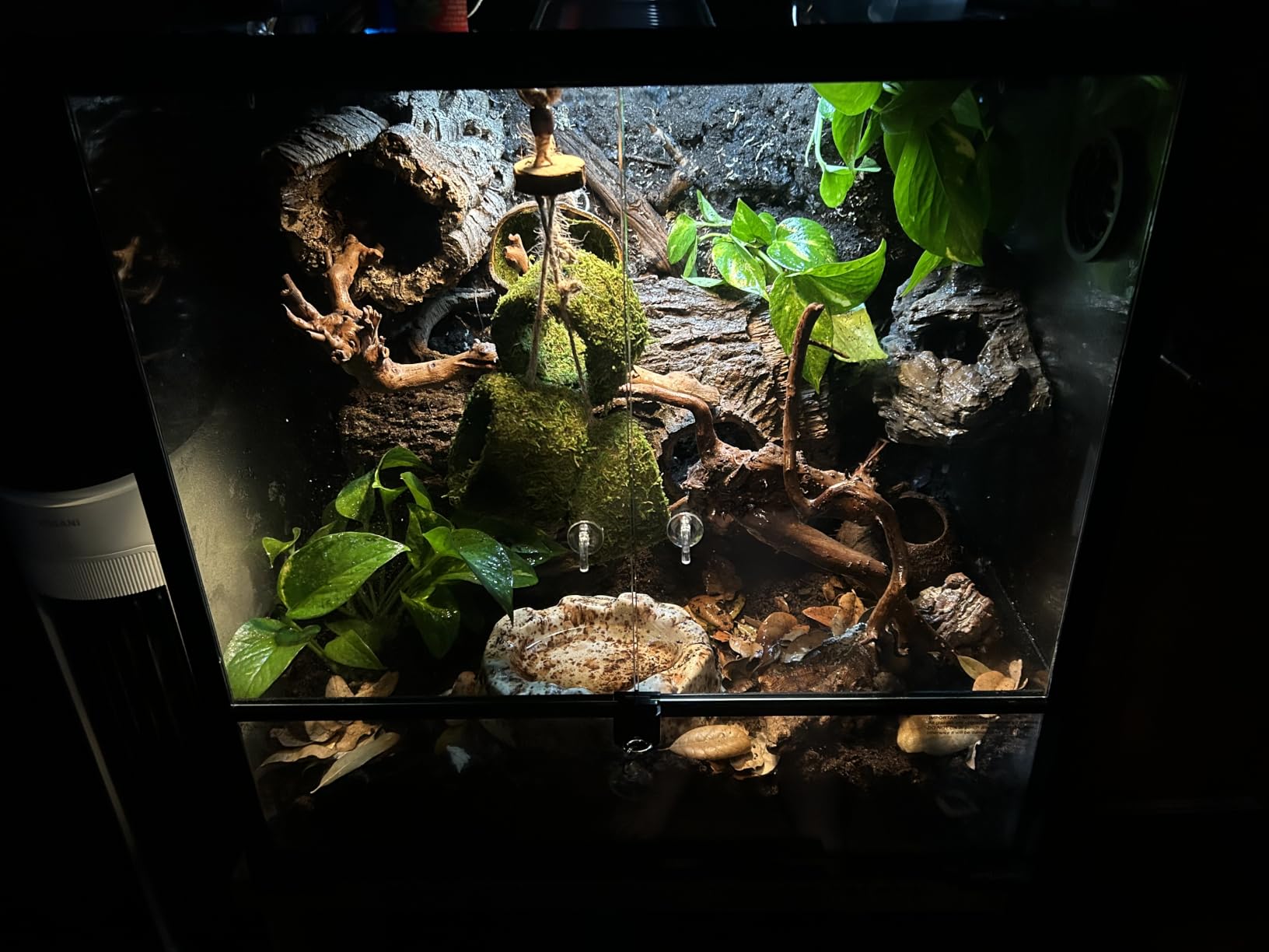REPTIZOO Small Reptile Tank 20