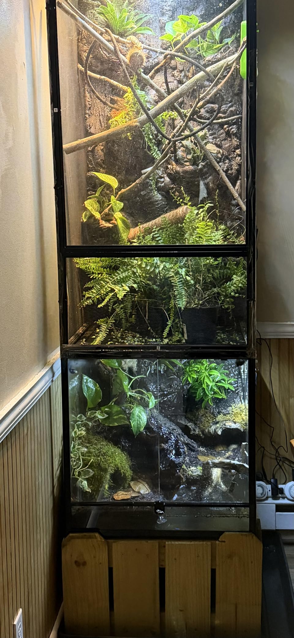 REPTIZOO Small Reptile Tank 20