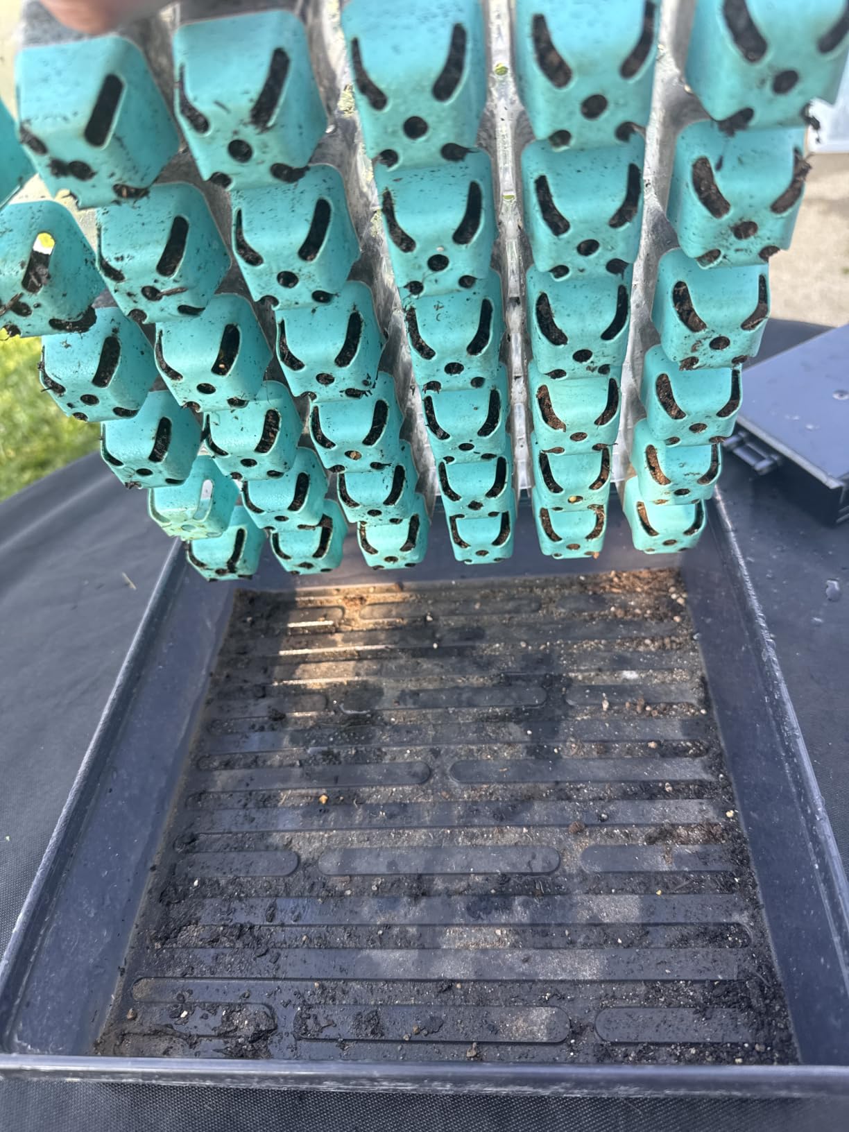 Burpee SuperSeed Seed Starting Tray | 36 Cell Reusable Seed Starter Tray | for Starting Vegetable, Flower & Herb Seeds | Indoor Grow Kit for Plant Seedlings | for Germination Success customer photo 1
