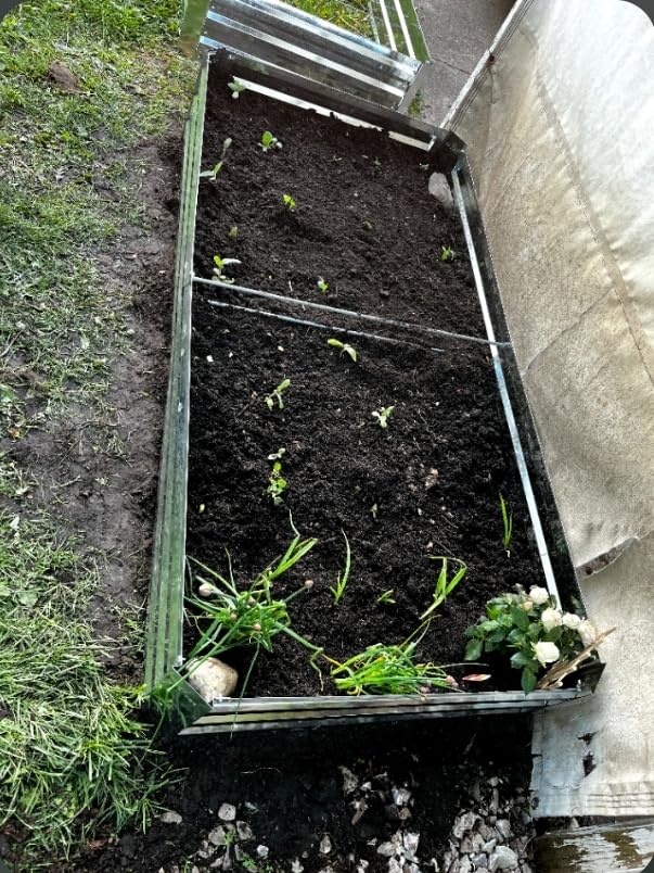 2-Pack Galvanized Raised Garden Bed 8x4x1ft | Above Ground Planter Overlap Panels No-Deform, Anti-Rust, Heavy-Duty Metal Planting Beds for Veggie Herbs Flowers customer photo 2