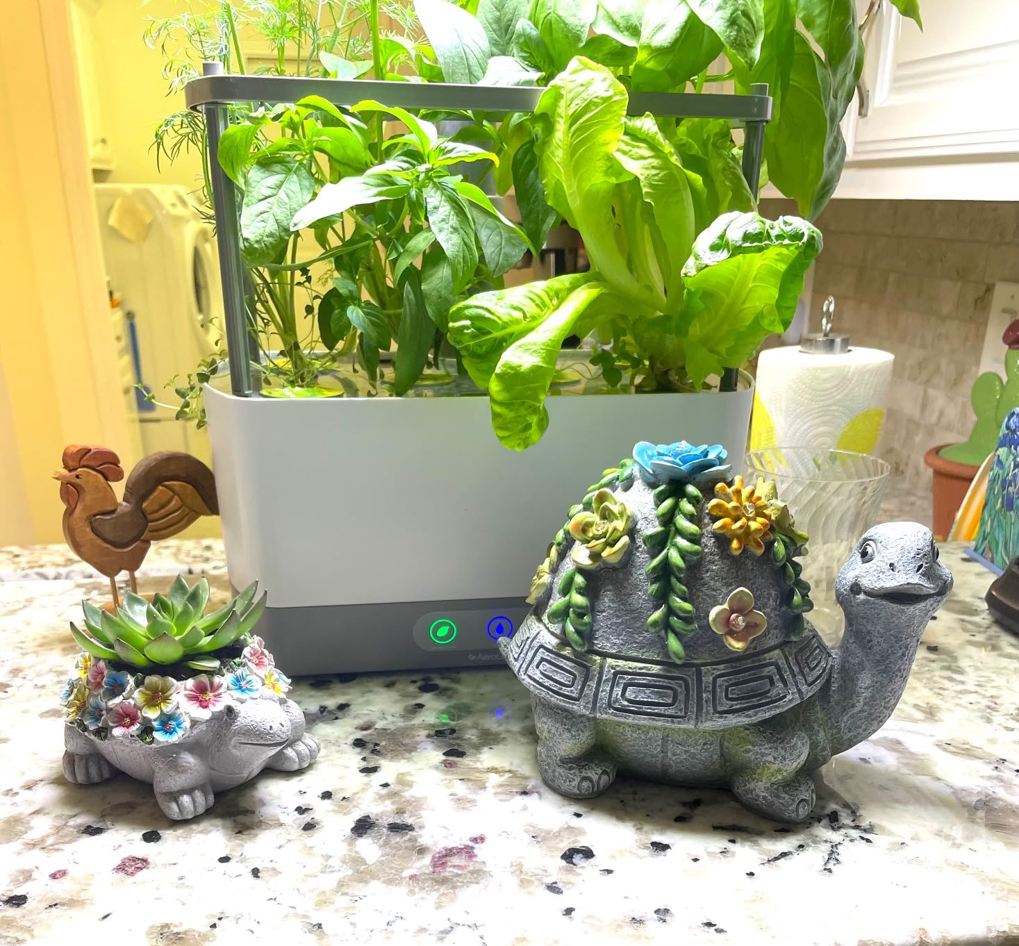 AeroGarden Harvest XL Indoor Garden Hydroponic System, White | Includes LED Grow Light with Seed Pod Kit, Holds up to 6 Pods customer photo 1