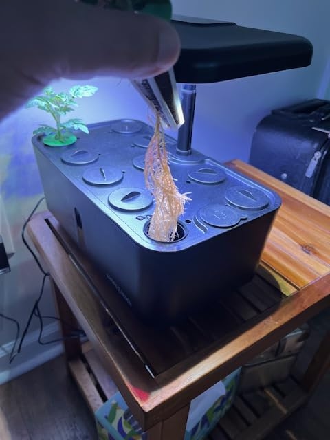 Ahopegarden Indoor Garden Hydroponics Growing System: 10 Pods Kit with LED | Plant Germination Kit Herb Vegetable Growth Lamp Countertop, Hydroponic Planter Grower Harvest Lettuce for Healthy Home Cooks customer photo 2