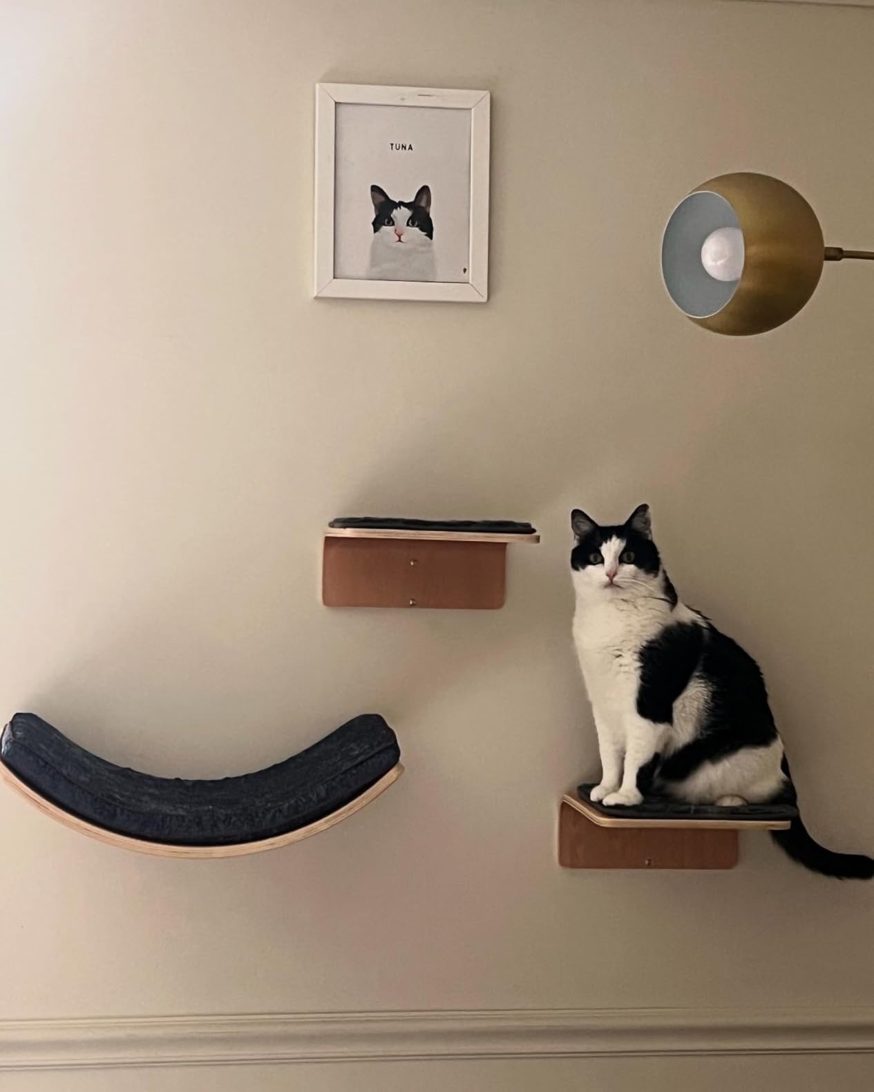 Cat Wall Shelf with Two Steps - Curved Cat Shelves and Perches for Wall (Large Size) - Wall Mounted Cats Furniture for Sleeping, Playing, Climbing, and Lounging customer photo 2