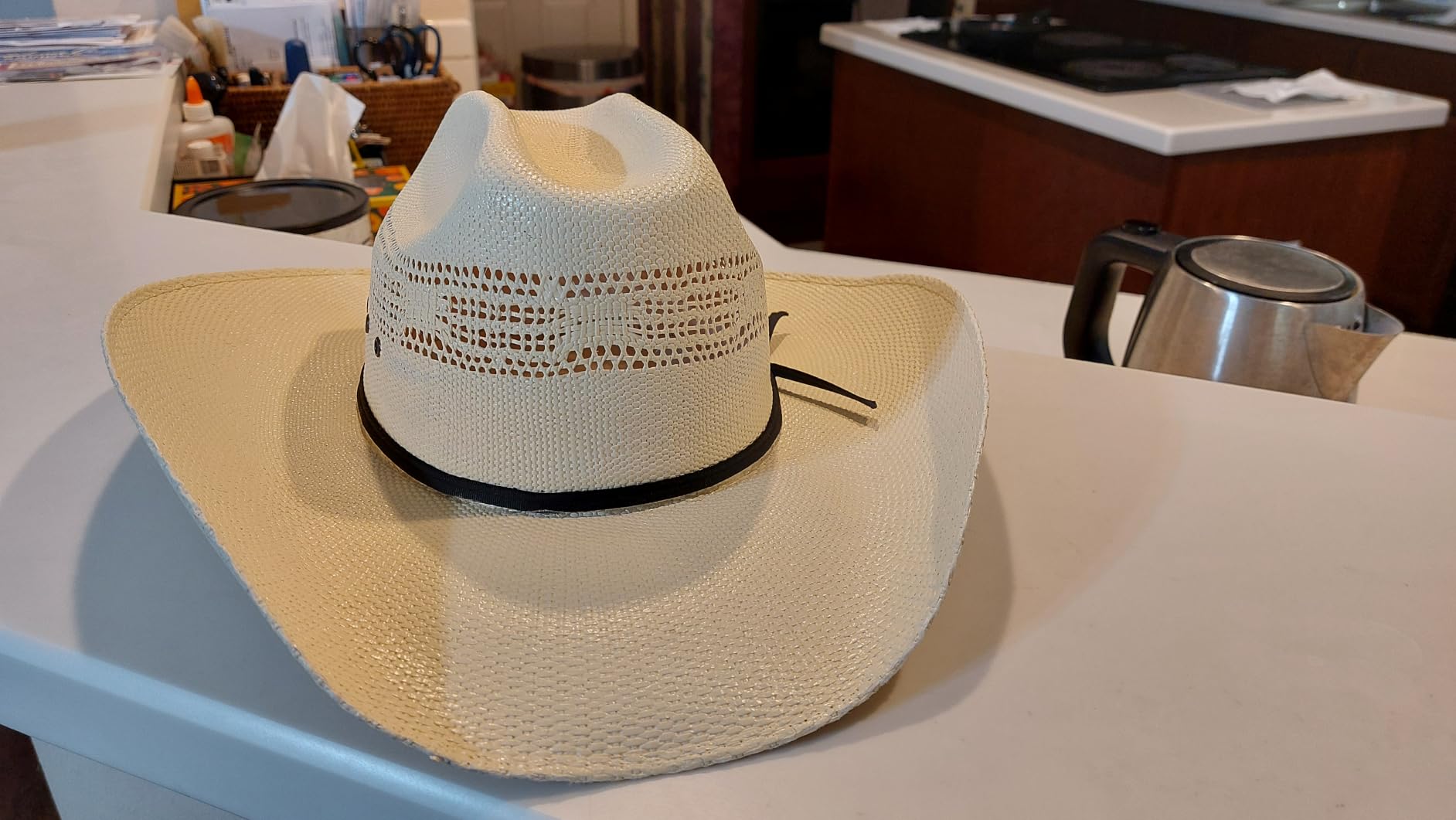 Bear Steamer for Clothes, 1300W 25s Heat-Up Clothes Steamer with 230ml Tank customer photo 1