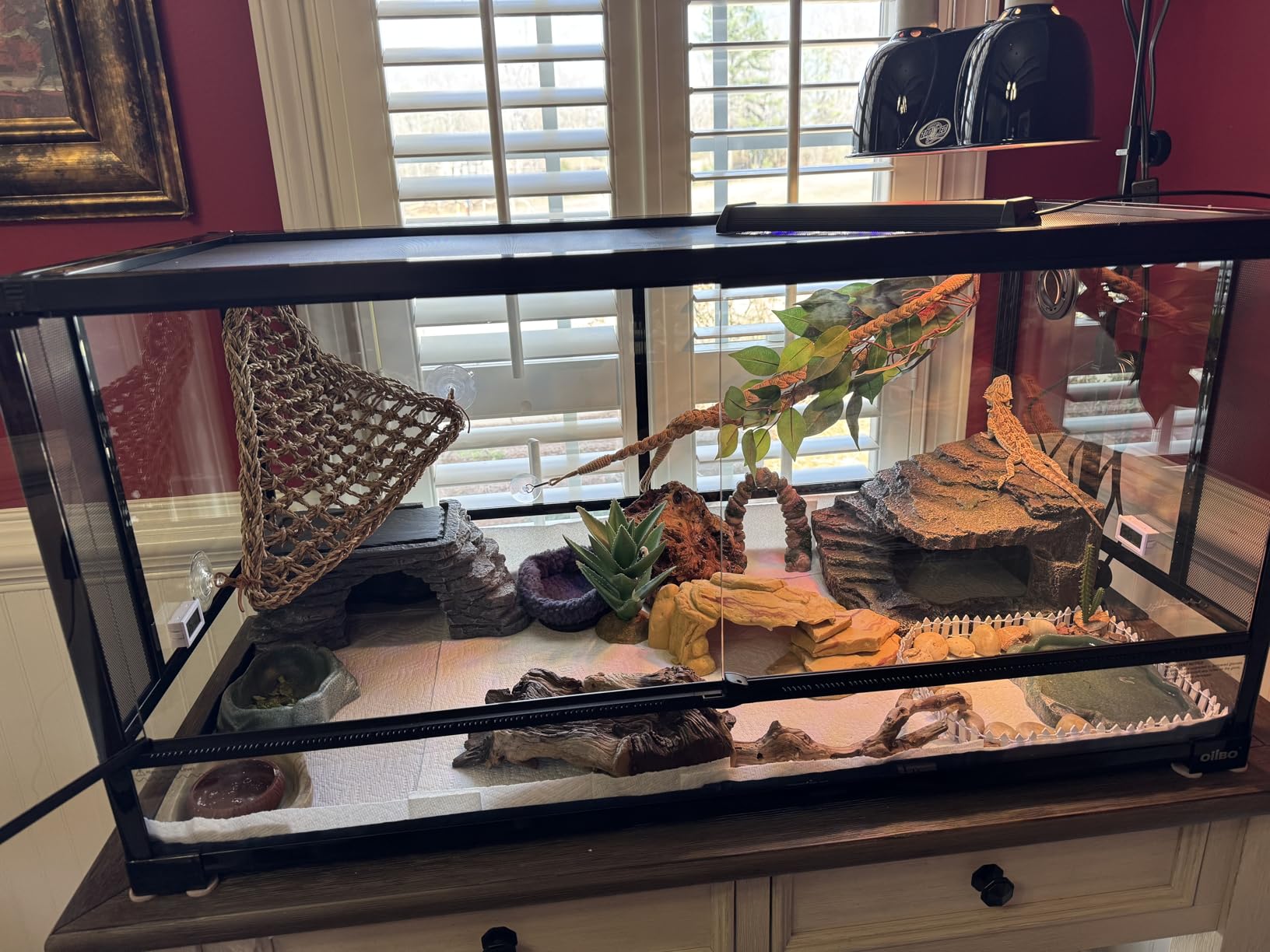 Glass Reptile Terrarium, 40