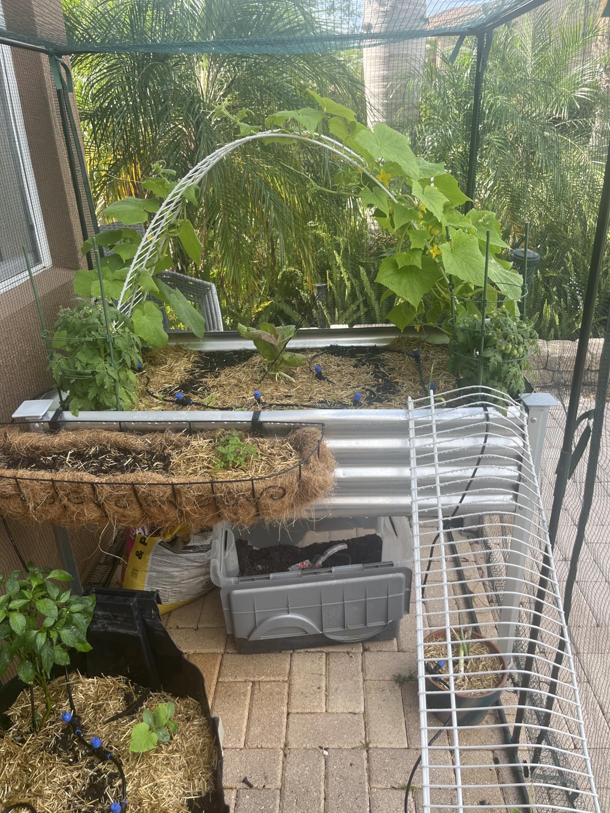 Land Guard Galvanized Raised Garden Bed with Legs, 48×24×32in Large Metal Elevated Raised Planter Box with Drainage Holes for Backyard, Patio, Balcony, 700lb Capacity customer photo 2