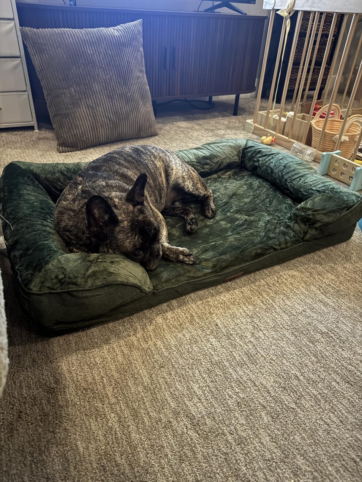 EHEYCIGA Orthopedic Extra Large Dog Bed, Waterproof Washable XL Pet Bed 44