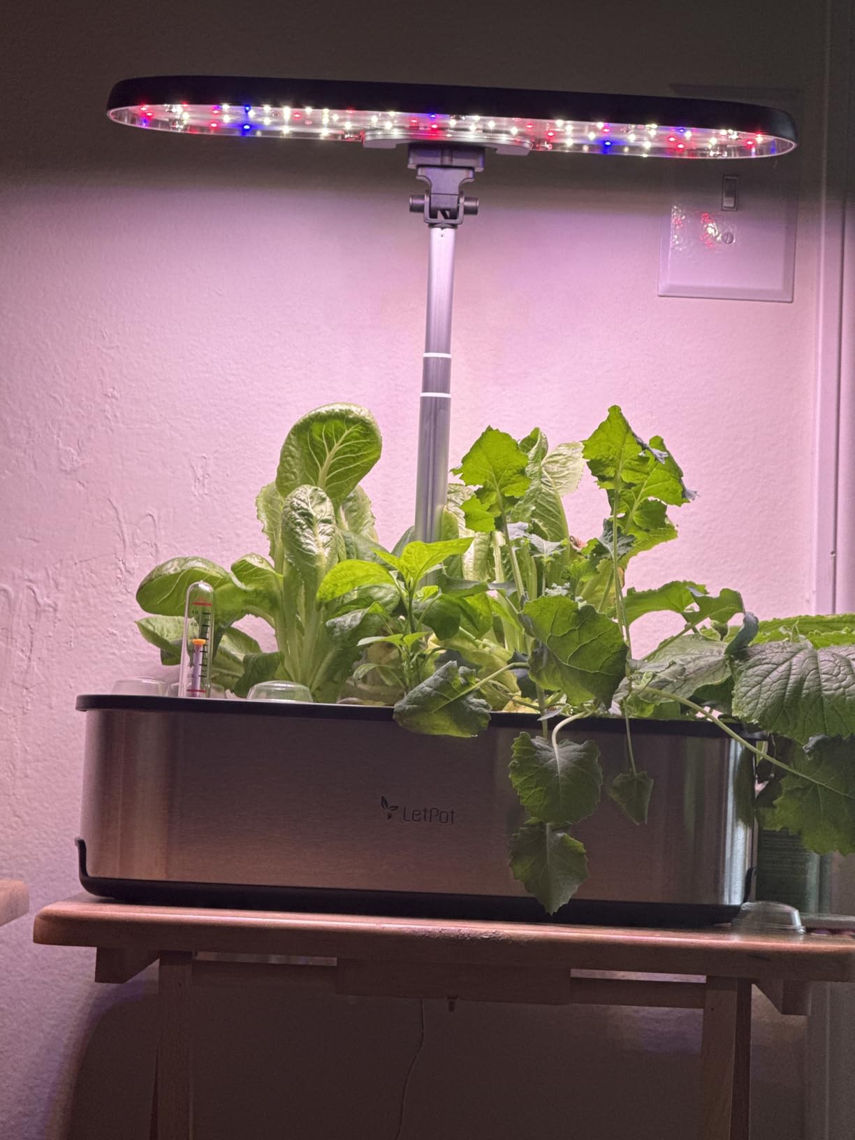 LETPOT LPH-SE Hydroponics Growing System, 12 Pods Smart Herb Garden Kit Indoor with APP & WiFi Control, 24W Growing LED, 5.5L Water Tank, Pump System, Automatic Timer customer photo 1