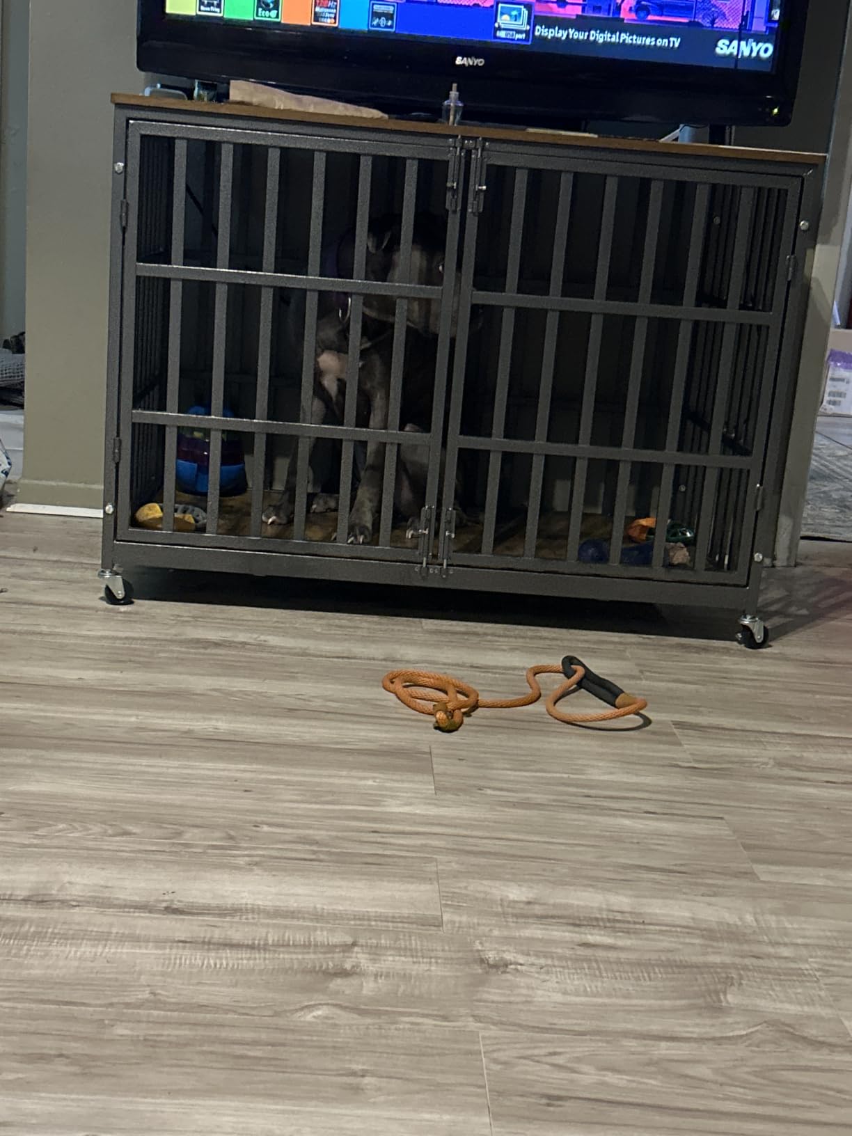 48 Inch Heavy Duty Dog Crate Kennel with Wheels, High Anxiety Indestructible Dog Crates for Large Dogs, XL XXL Extra Large Dog Crate with Removable Plastic Tray, Two Locks (Black, Square) customer photo 1