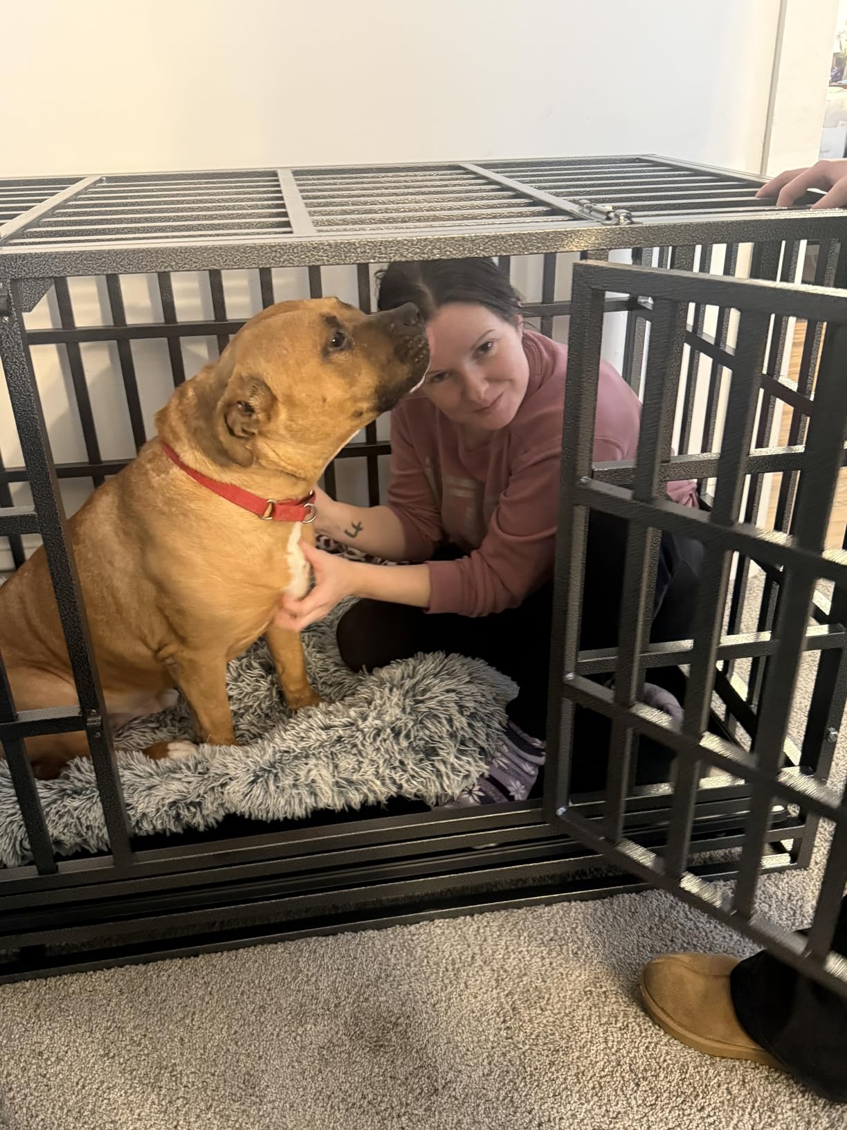 48 Inch Heavy Duty Dog Crate Kennel with Wheels, High Anxiety Indestructible Dog Crates for Large Dogs, XL XXL Extra Large Dog Crate with Removable Plastic Tray, Two Locks (Black, Square) customer photo 2