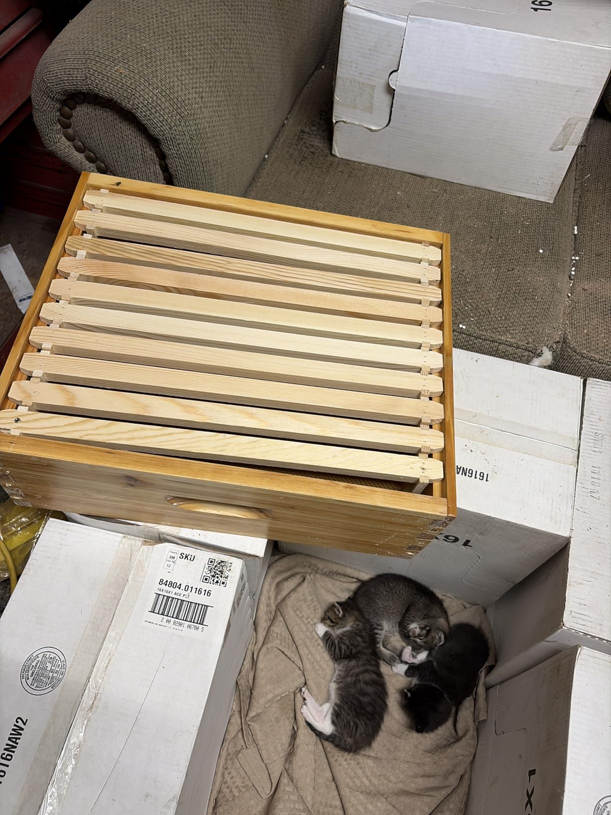 VINGLI 10 Frame Langstroth Beehive Starter Kit, Beeswax Coated 2 Layer Complete Bee Hive, 1 Deep Brood Box & 1 Medium Super Box with Frames and Waxed Foundations for Beekeepers customer photo 1