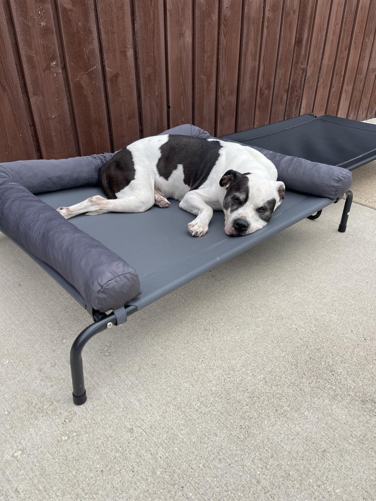 WESTERN HOME Cooling Elevated Dog Bed for Large Dogs, Outdoor Raised Dog Bed, Dogs Cot Portable Indoor, Raised with Breathable Mesh, Chew Proof Pet Hammock Cots, Removable and Waterproof Bolsters customer photo 2