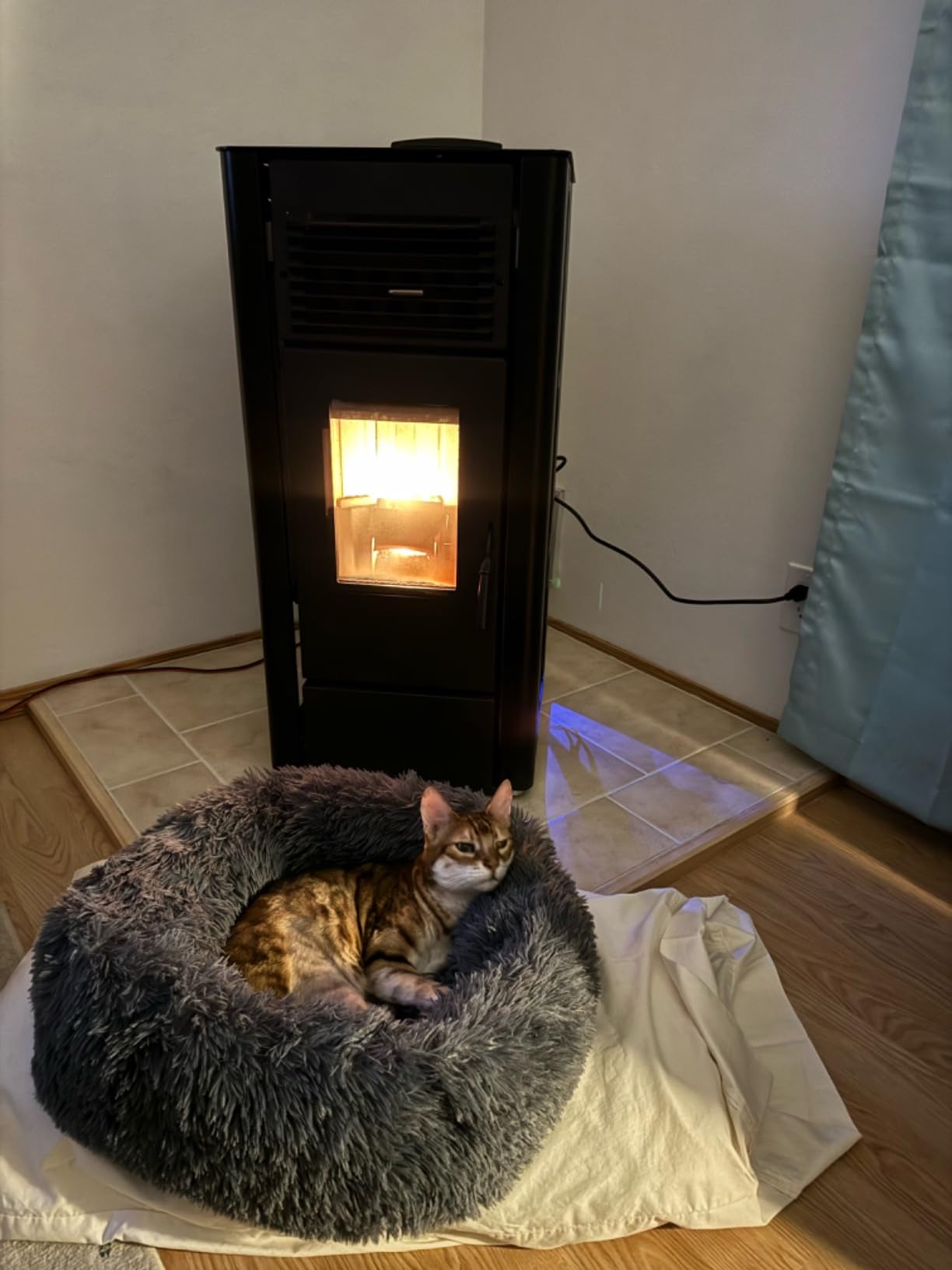 Freedom Stove PS21 Freestanding Pellet Stove, WiFi, 5-Yr Warranty customer photo 2