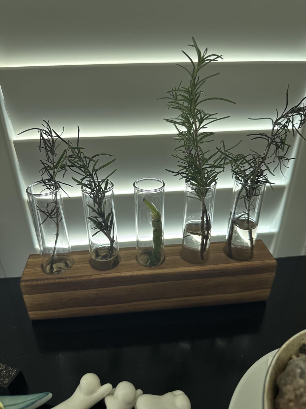 YIBOT Plant Propagation Station, Plant Terrarium with Wooden Stand | Plants Pots for Hydroponics, 5 Glass Test Tubes Vases, Unique Birthday Gardening Gifts for Women Mom Plants Lovers customer photo 2
