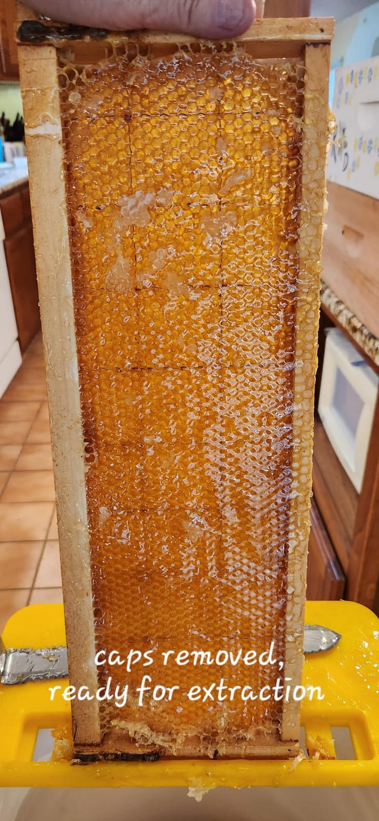 VEVOR Honey Extractor, 2/4 Frame Stainless Steel Manual Beekeeping Extraction, Honeycomb Drum Spinner with Transparent Lid, Apiary Centrifuge Equipment with Height Adjustable Stand, Silver customer photo 2