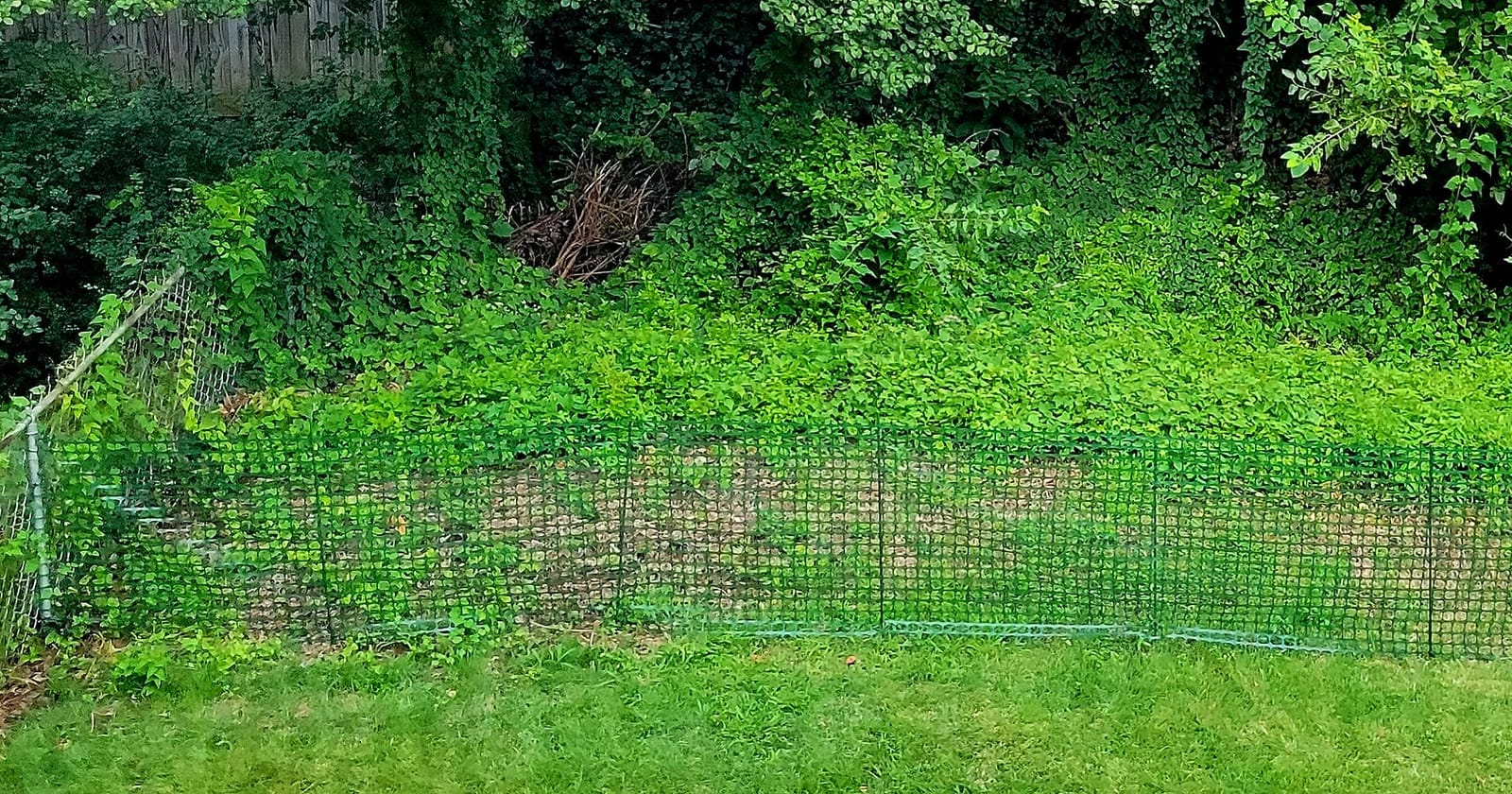 4'x100' Plastic Mesh Fence for Garden with 100 Zip Ties, Green | Reusable HDPE mesh fence, temporary outdoor barrier for yards, construction, snow fencing, poultry & deer, easy to install customer photo 1