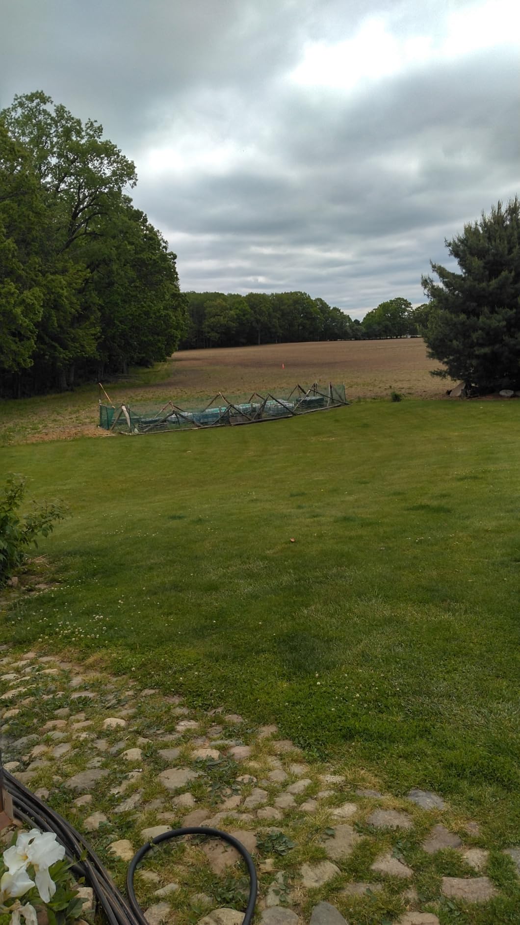 PotatoLife 4'x100' Plastic Mesh Safety Fence with 100 Zip Ties, Orange | Reusable HDPE mesh fence, temporary outdoor barrier for garden, construction, snow fencing, poultry & deer, easy to install customer photo 1