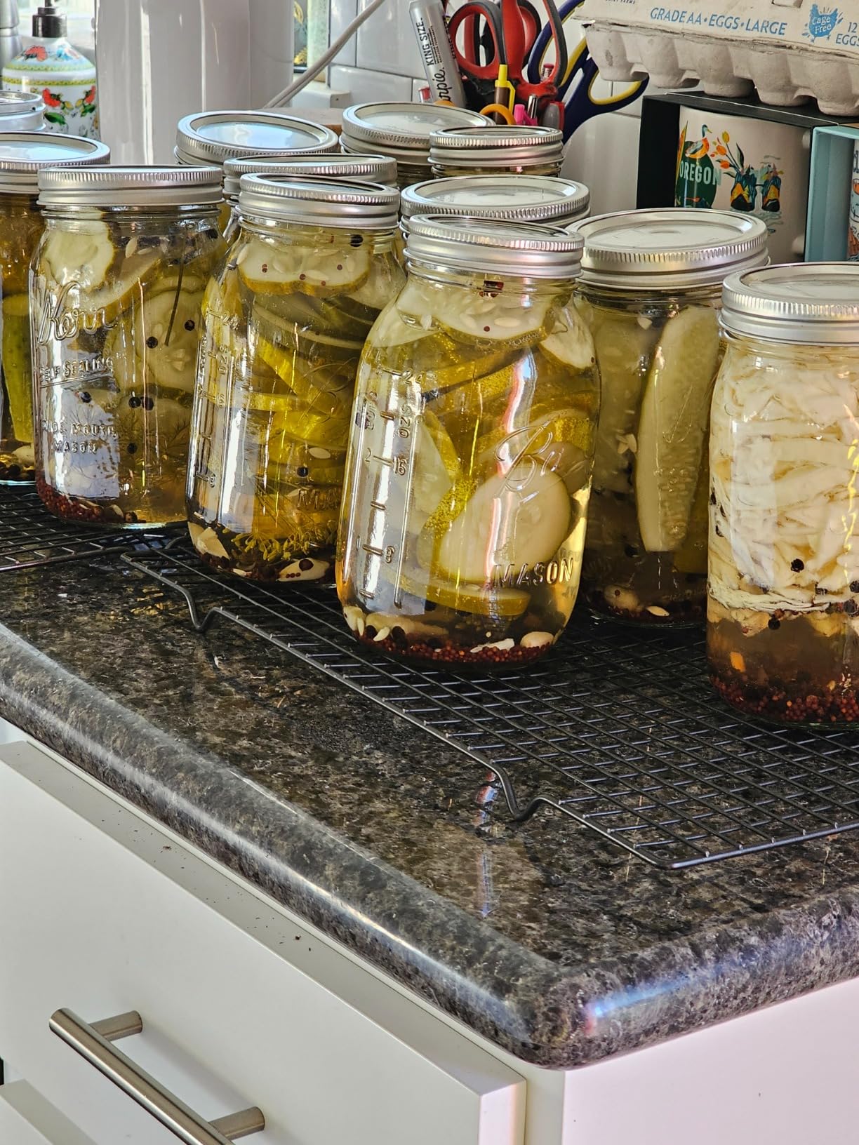 Hungry Artisan Canning Supplies Kit, Stainless Steel, 18 Pieces | Great for Pickling, Jams, Salsas, and Relishes. Beginner-Friendly Canning Set customer photo 1