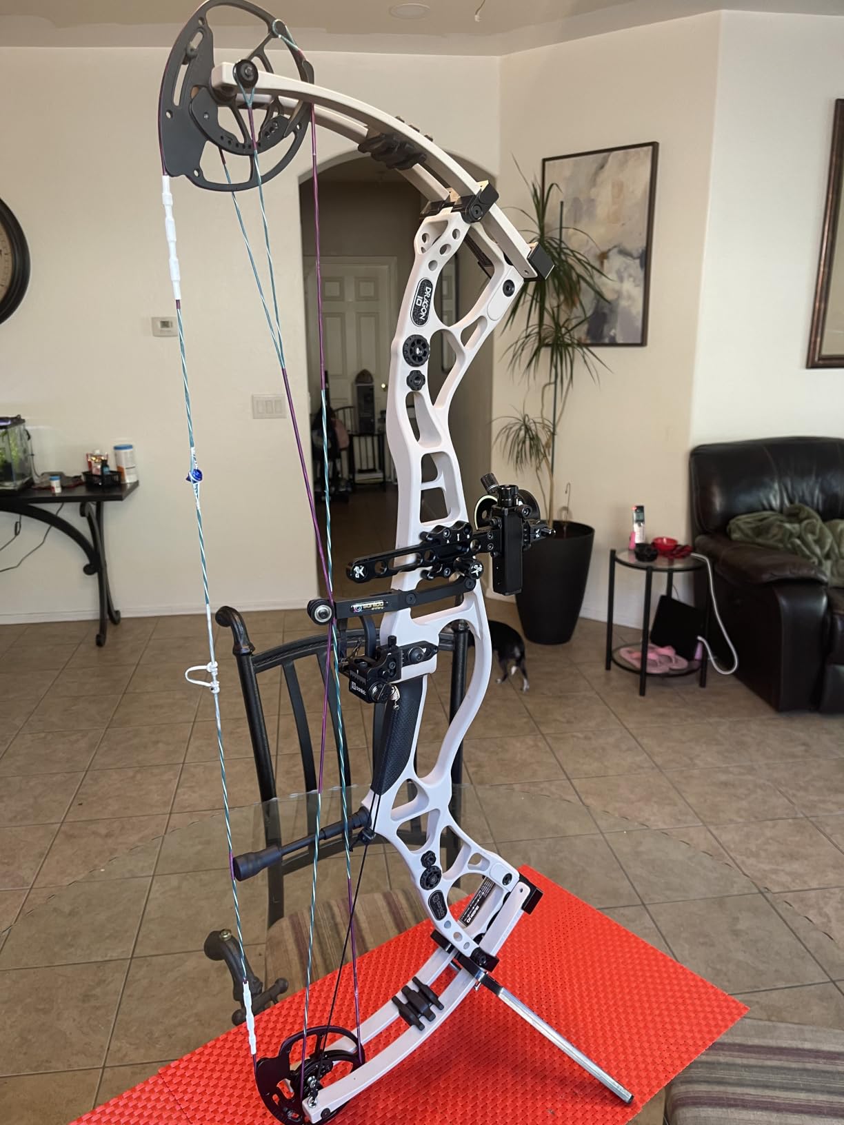Sanlida Dragon 10 Flagship Top of The Line Hunting Compound Bow Kit for Adults, IBO Speed 340 FPS, Limited Life-time Warranty, RH Only customer photo 1