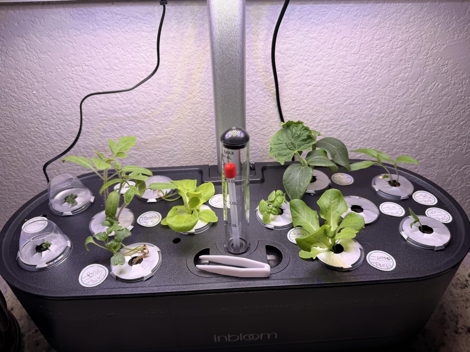 12 Pods Hydroponics Growing System Kit, Herb Garden Planter Indoor Kit with 4.2L Water Pump, Height Adjustable customer photo 1