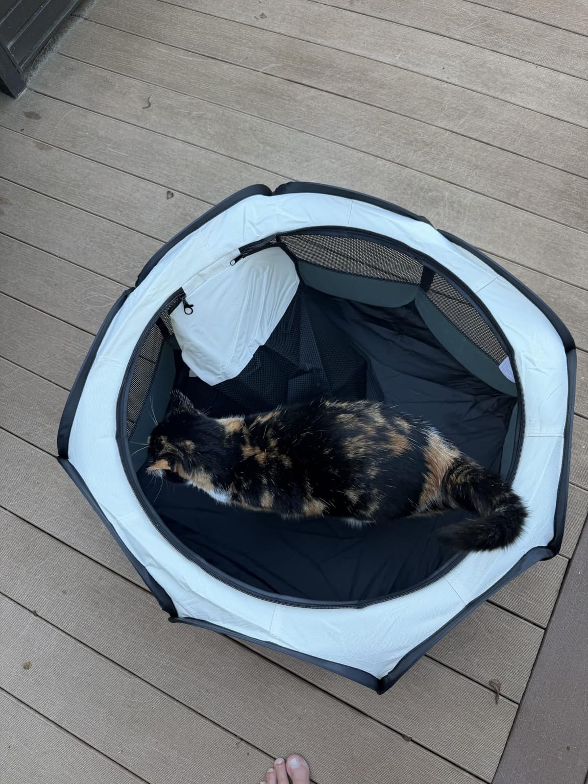 Siedihit Dog Cat Playpen, Puppy Pet Playpen Indoor for Small Dog Crate Tent Cage Outdoor, Portable Pop Up Dogs Enclosure Kennel with Carrying Case for Dogs/Cats/Rabbits(Grey, Small) customer photo 2