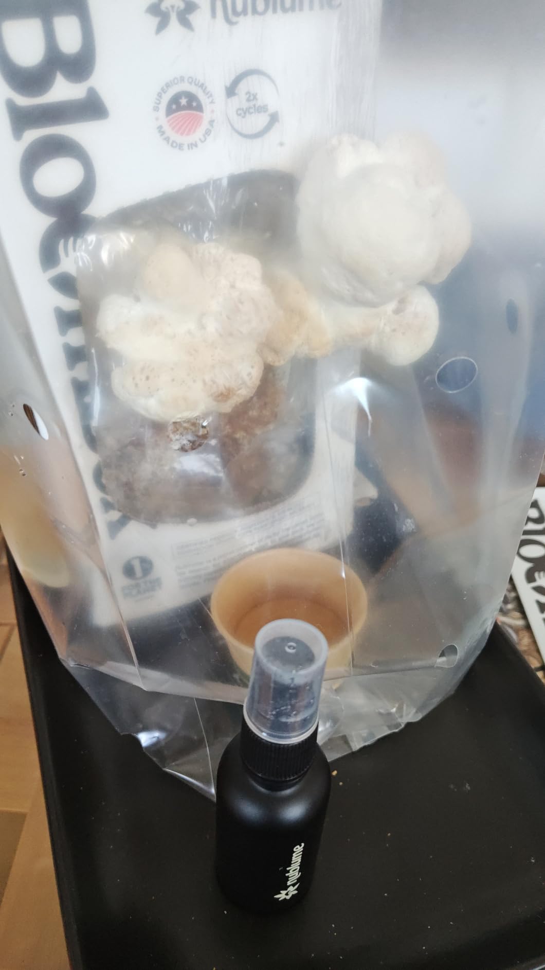 BloomBox Lion's Mane Mushroom Grow Kit, Spray & Grow, Pre-Inoculated Indoor Mushroom Farm, Beginner Friendly customer photo 2