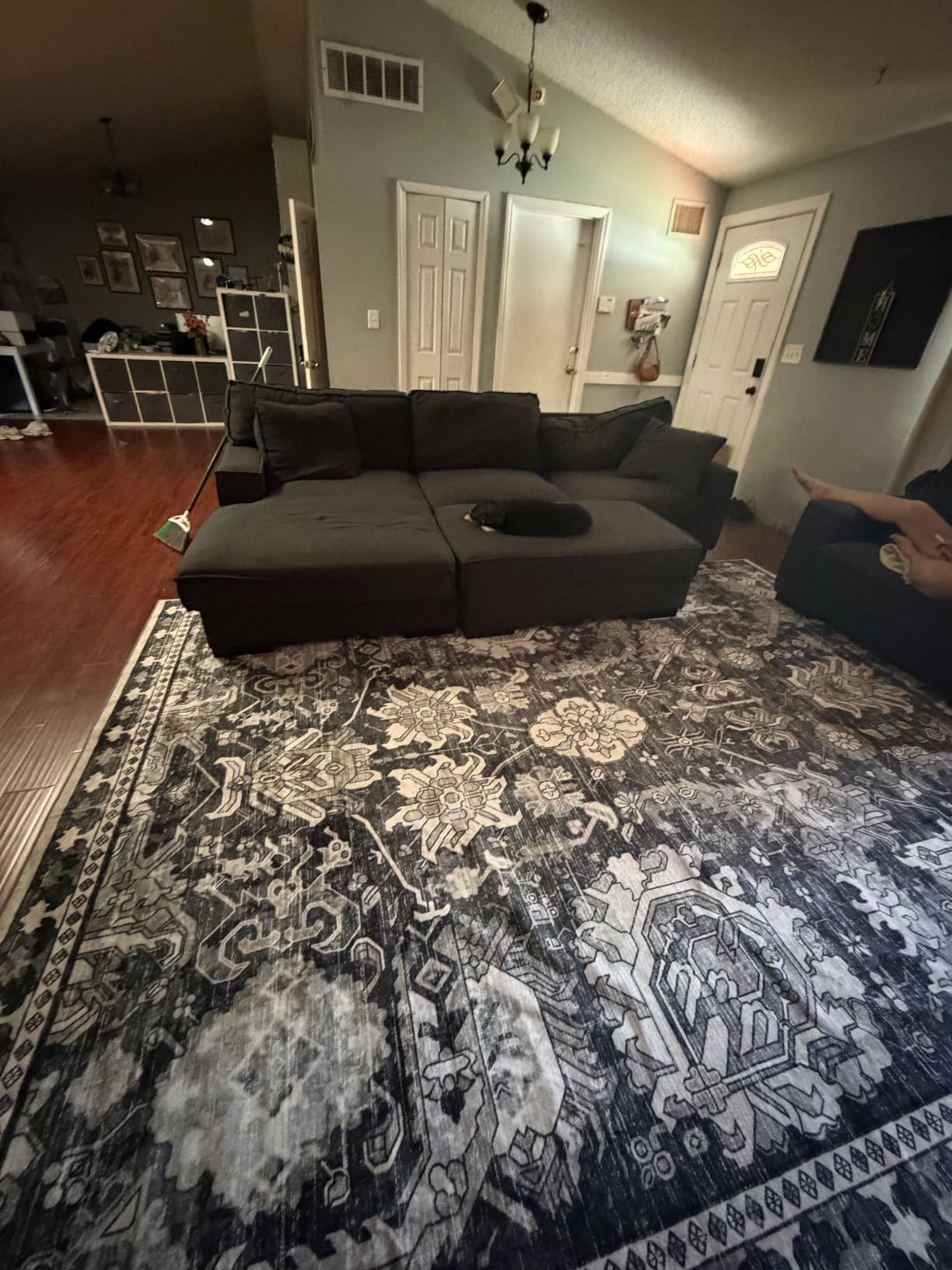 Washable Area Rugs - Perfect for Living Room, Bedroom, Kids Room, Nursery - Stain & Water Resistant Non-Slip, Pet & Child Friendly, Vintage Tribal Area Rugs (Green, 5' x 7') customer photo 1