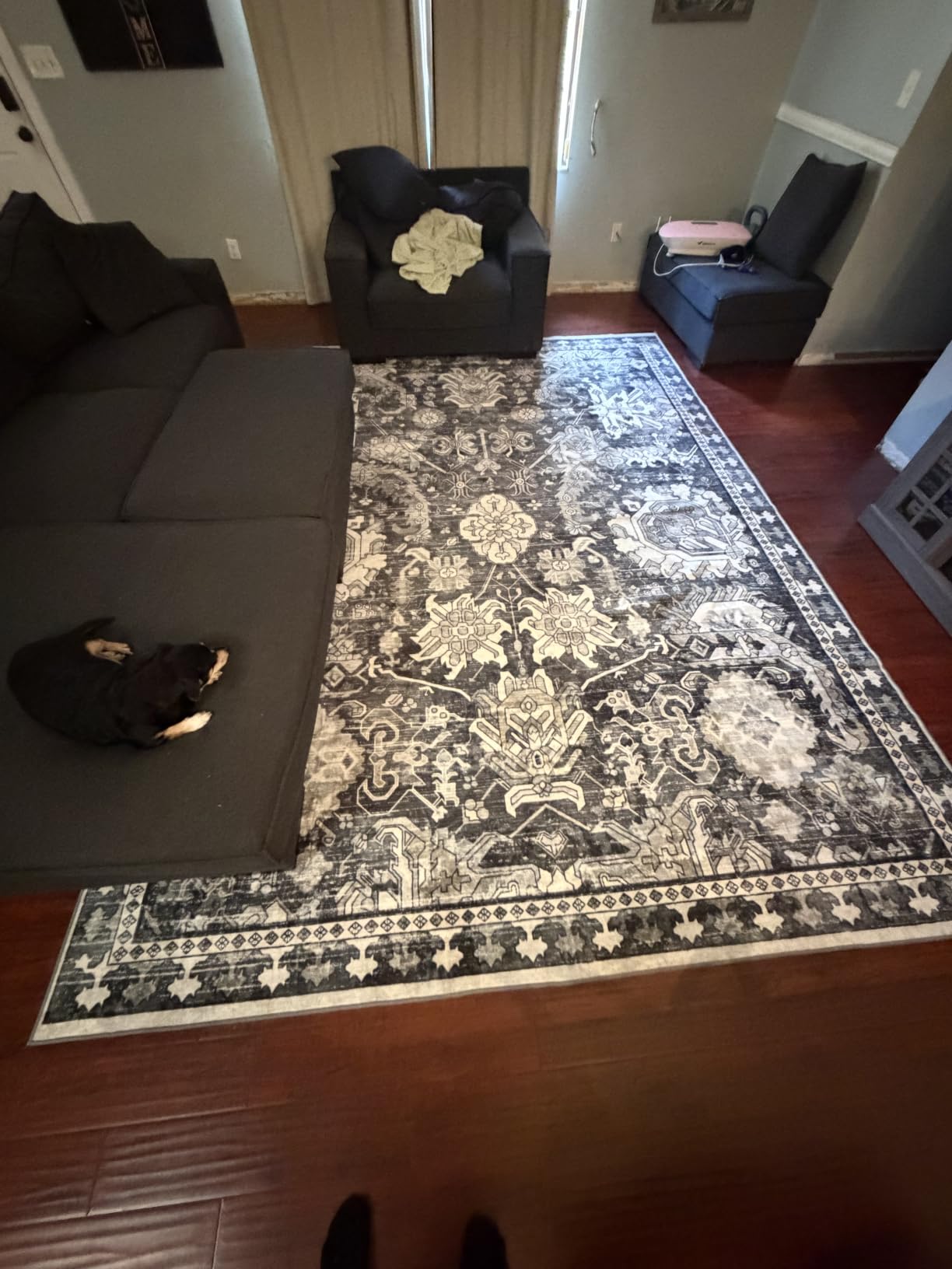 Washable Area Rugs - Perfect for Living Room, Bedroom, Kids Room, Nursery - Stain & Water Resistant Non-Slip, Pet & Child Friendly, Vintage Tribal Area Rugs (Green, 5' x 7') customer photo 2