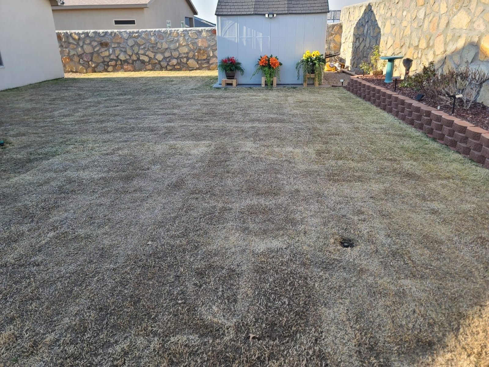 WEN 20V Max Cordless 15-Inch 2-in-1 Brushless Electric Dethatcher and Scarifier with Collection Bag, Two 4.0 Ah Batteries, and Dual-Port Charger (20716) customer photo 2