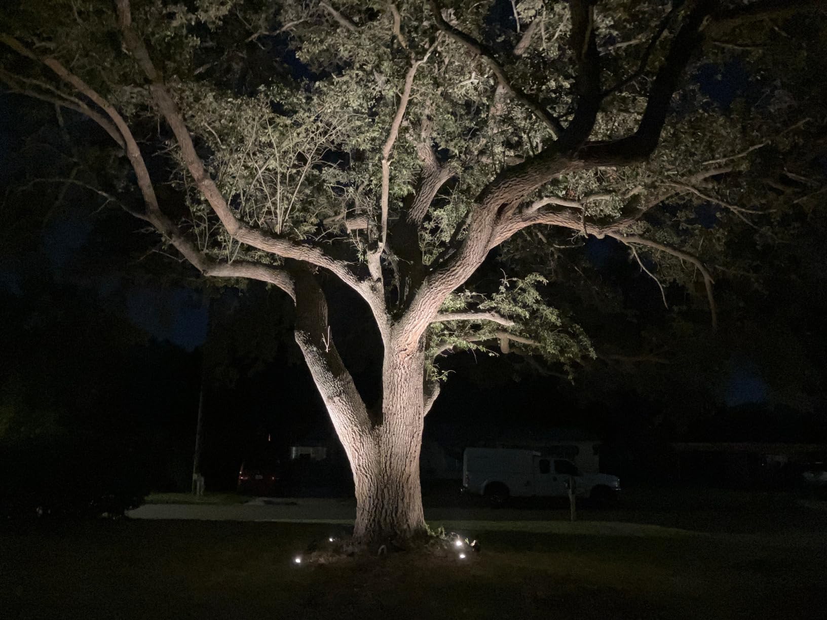 SUNVIE All-In-One LED Landscape Lighting Kit, 8-Pack Low Voltage Landscape Lights with Transformer and 65FT UL-Listed Wire, 3000K Waterproof Outdoor Uplights with Connectors for Yard House Garden Tree customer photo 2
