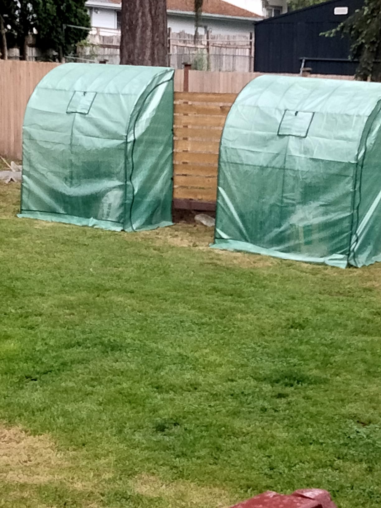 Lean to Greenhouse with 3-Tier Shelves: Ohuhu Portable Walk-in Wall Mounted Green House with Mesh Windows, 79