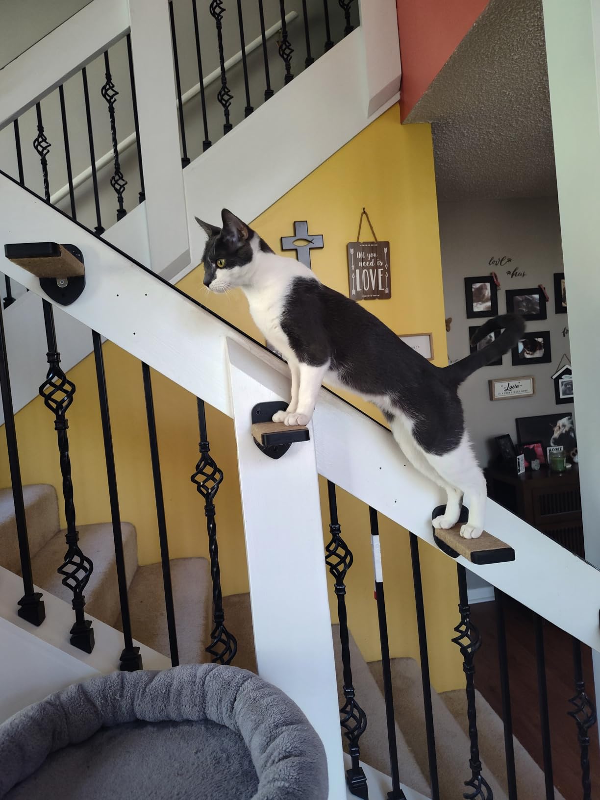 3-in-1 Cat Climbing Wall Steps with Hemp Rope, Shelves and Perches, Scratching Pads for Cats Playing and Climbing (Wood) customer photo 1