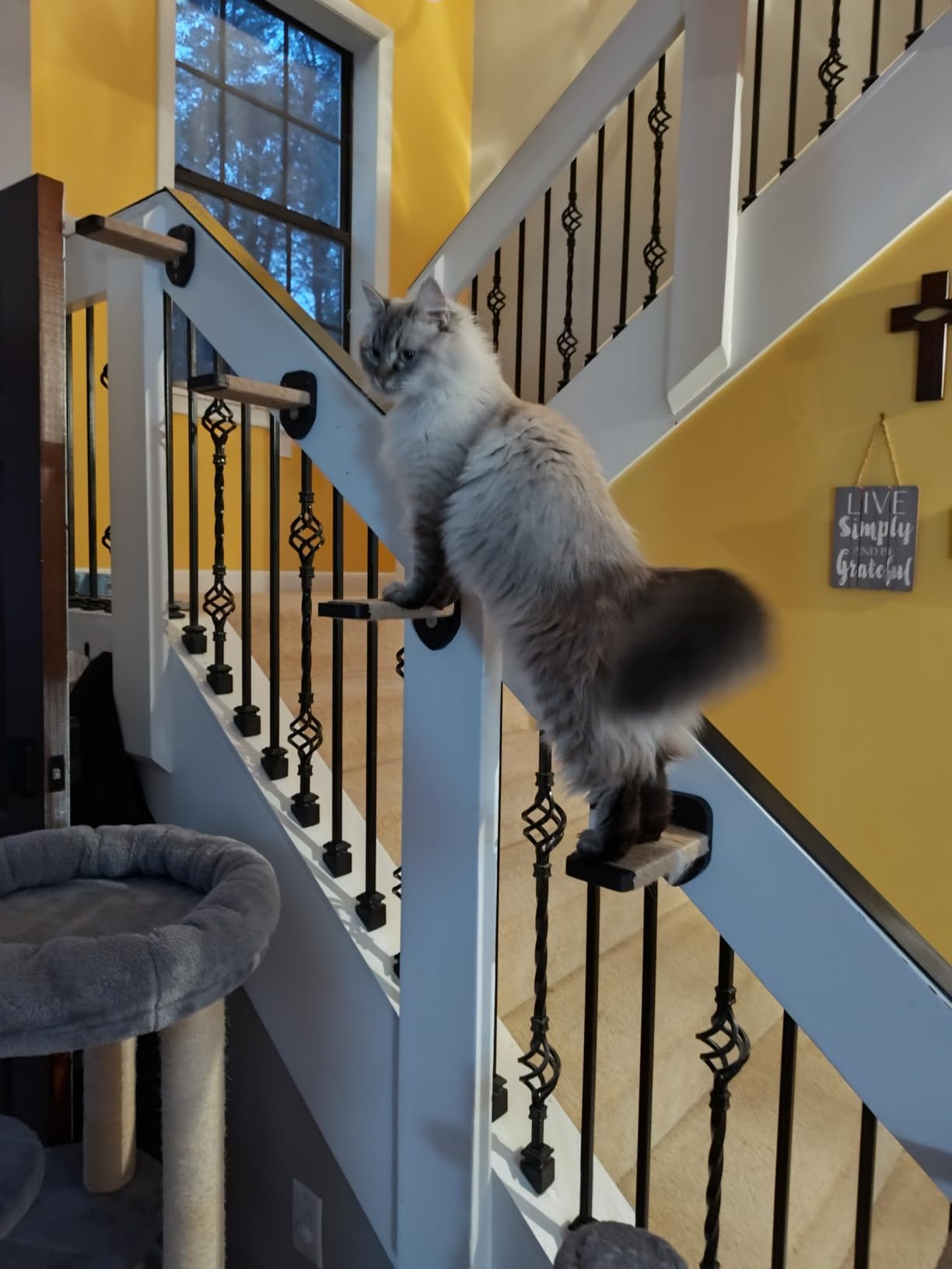 3-in-1 Cat Climbing Wall Steps with Hemp Rope, Shelves and Perches, Scratching Pads for Cats Playing and Climbing (Wood) customer photo 2